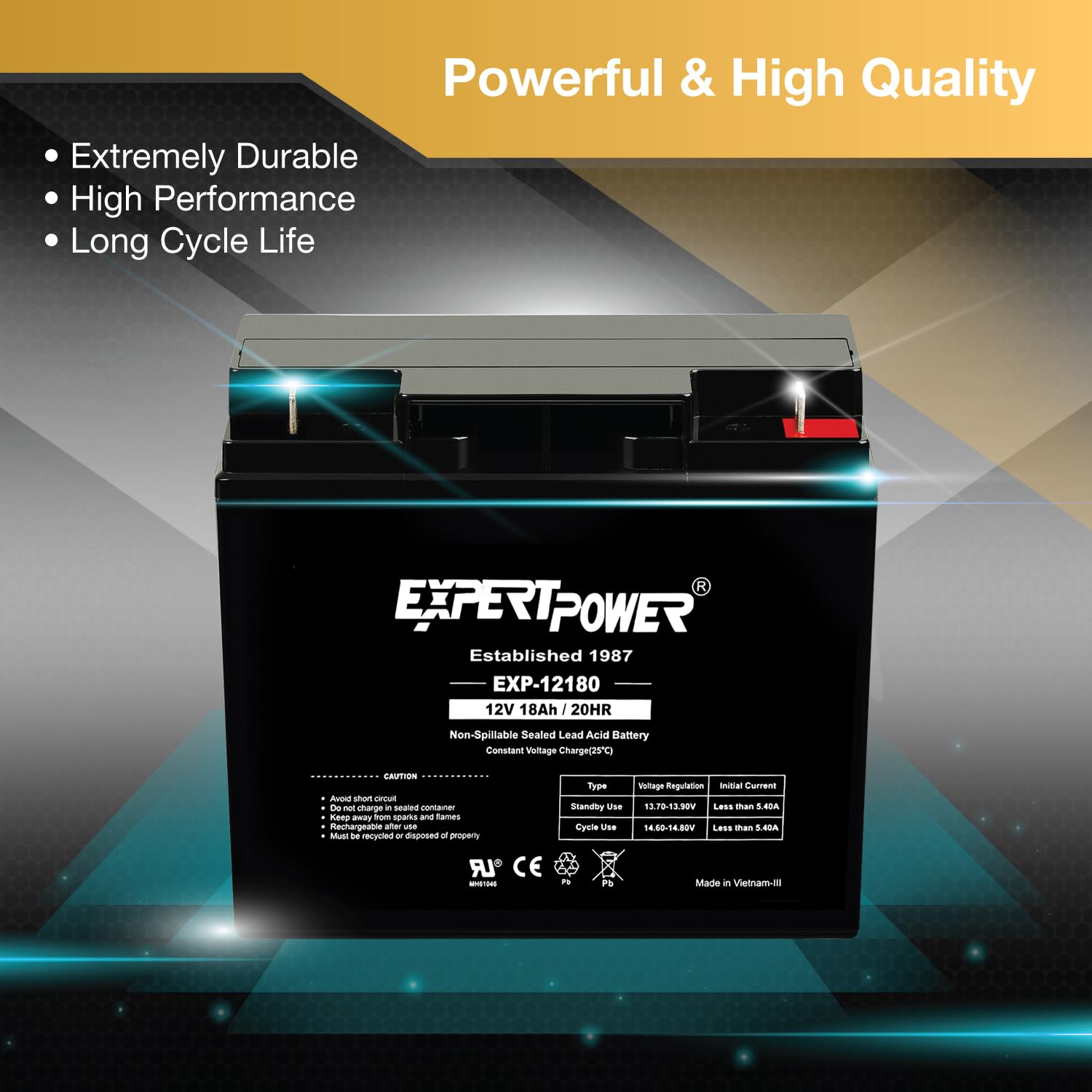Expertpower Exp12180 12V 18Ah Lead Acid Battery