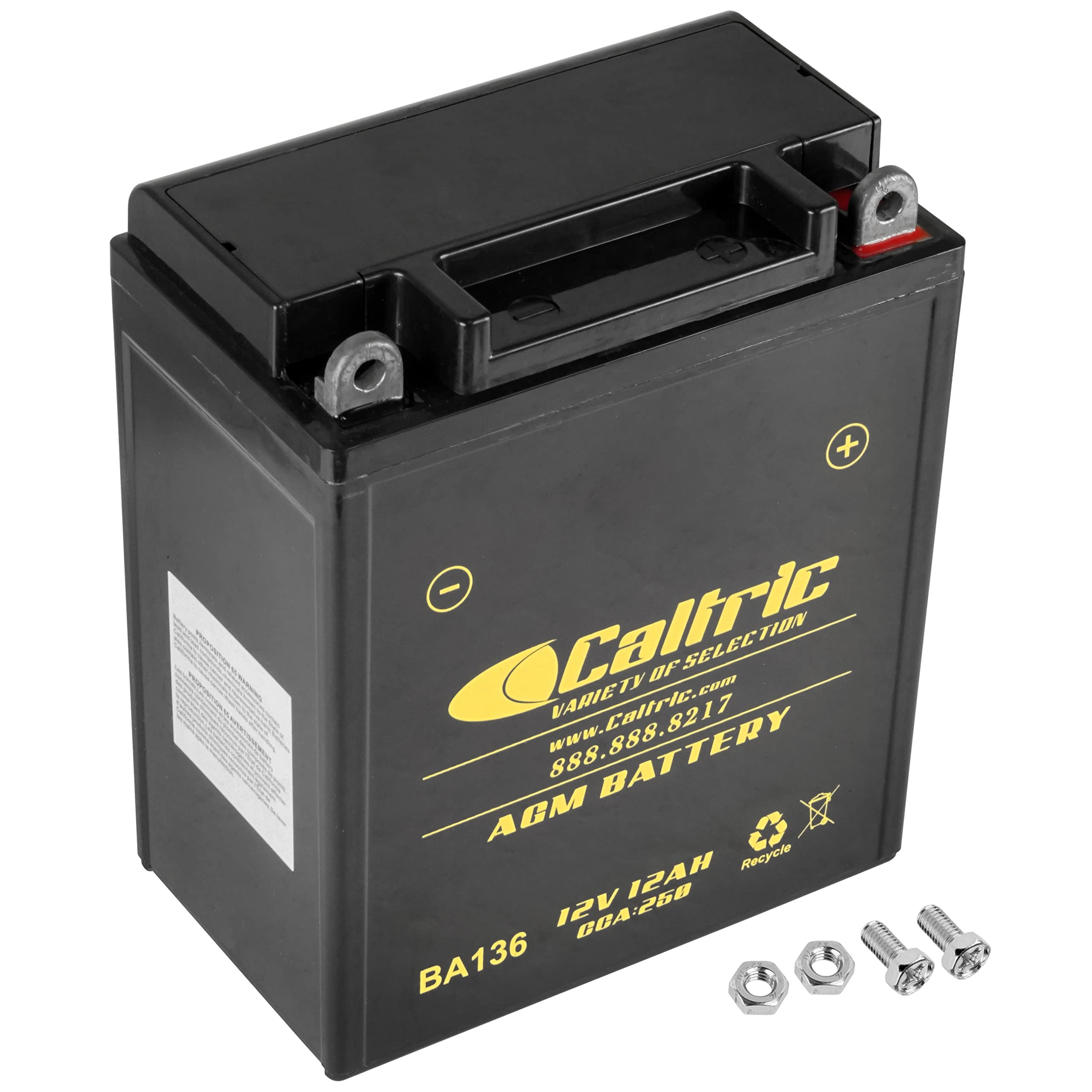 Caltric Yb12Al-A2 AGM Battery Compatible with BMW 61217729049 F650GS 2001-2008 650cc