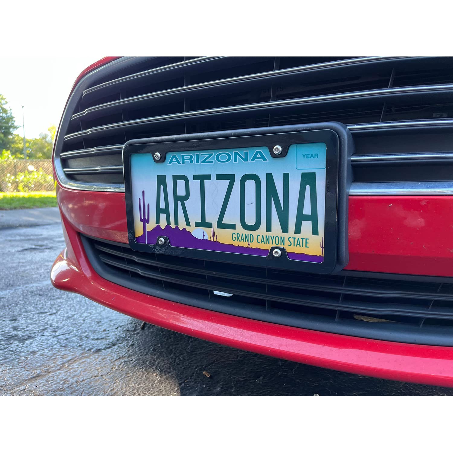 Cruiser Accessories 15050 License Plate Frame - Neo, Black