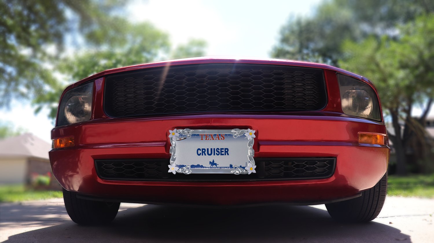 Cruiser Accessories 19130 License Plate Frame - Daisy, Chrome-Plated Metal