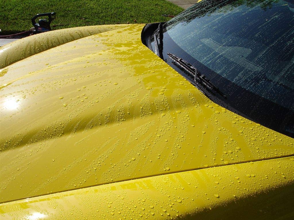 Corrosion Technologies Rejex 61002 (16 Fl Oz) - High Gloss Finish That Protects | Paint & Surface Sealant For All Vehicles | Las