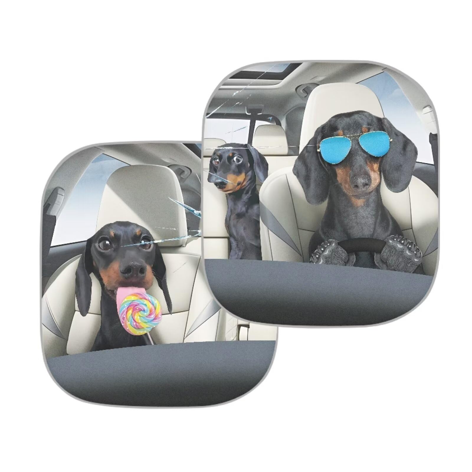Huisefor Car Windshield Sun Shade Foldable Funny Dachshund Dog Car Front Window Covers Auto Front Windshield Sun Shade Reflectiv