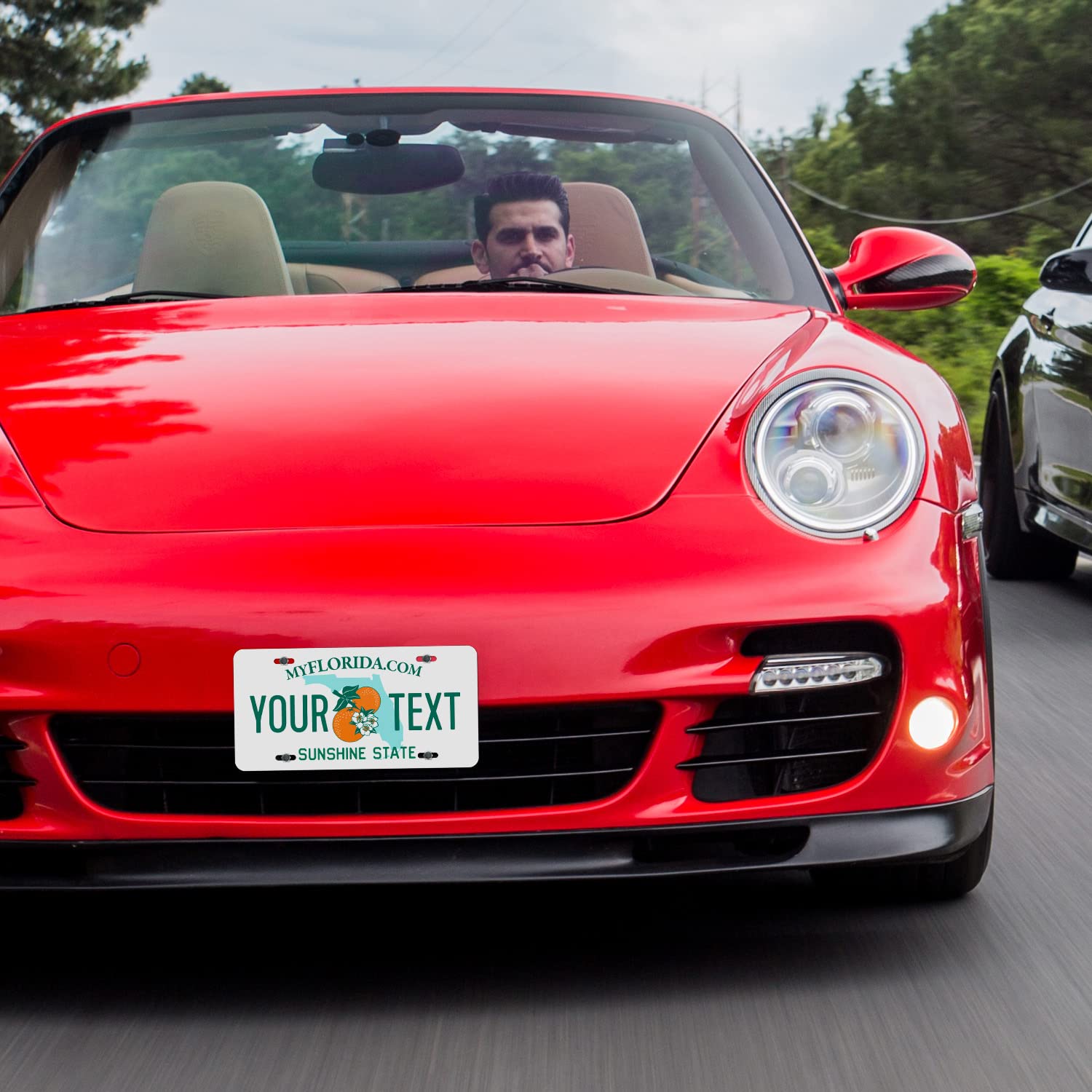 Custom Florida License Plate, Personalized 50 States Fake License Plate For Front Of Car Sign 6X12 Inches, Rust Free .040 Aluminum, Fade Resistant, Made In Usa By Sigo Signs