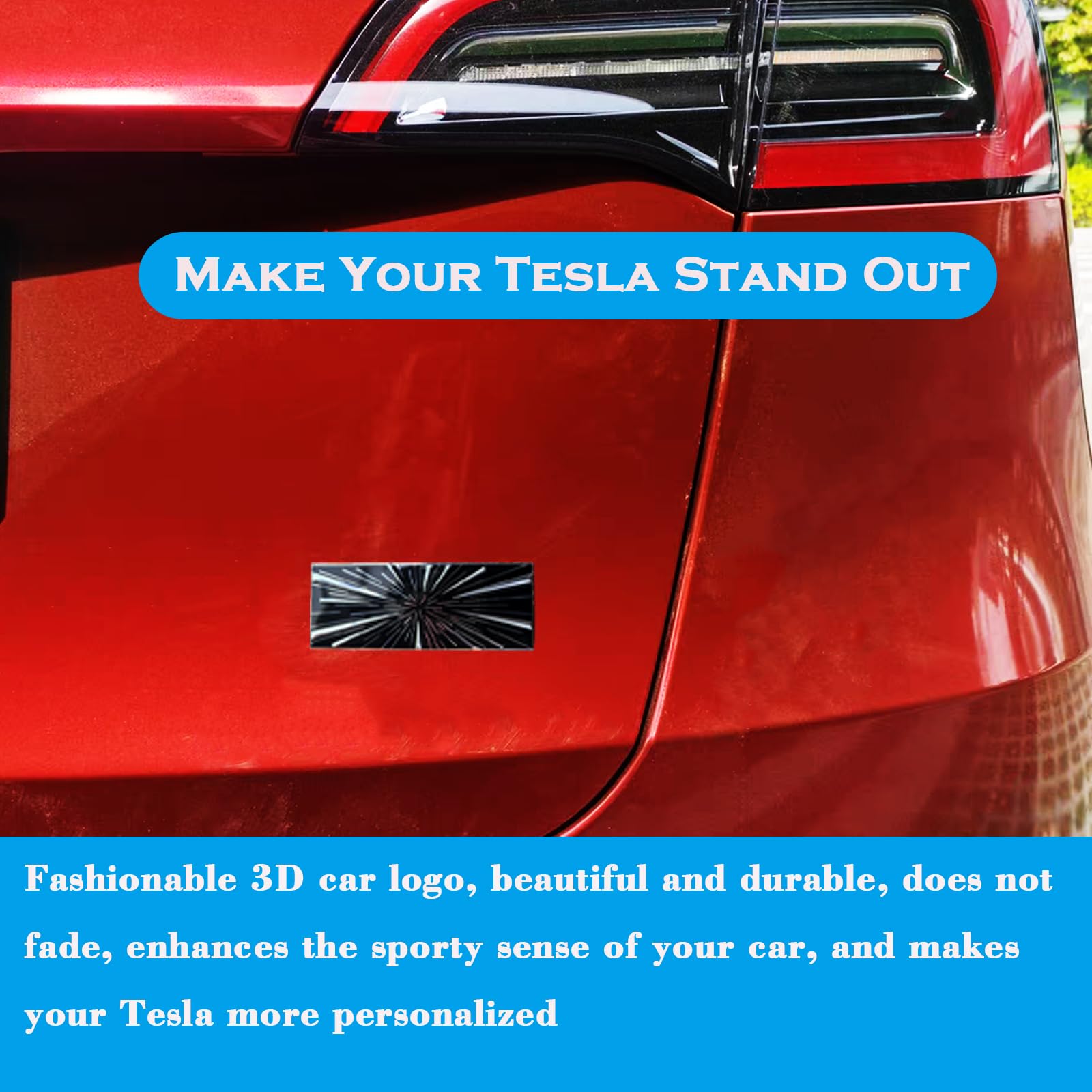 Yhcdsea Dual Motor Badge Emblem Sticker Plaid Decor Compatible For Model 3 Y X S Accessories (Ludicrous-Blue)