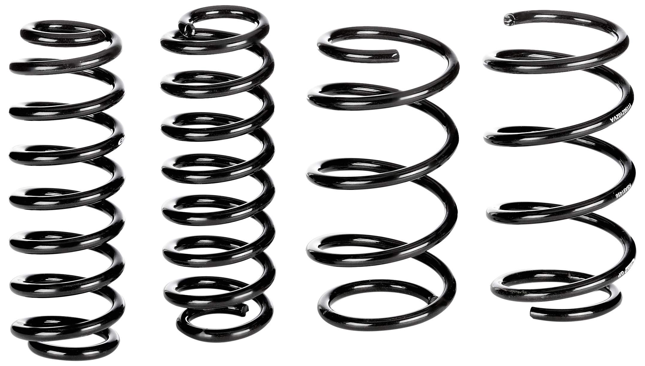 Eibach E10-15-021-02-22 Performance Pro-Kit Springs