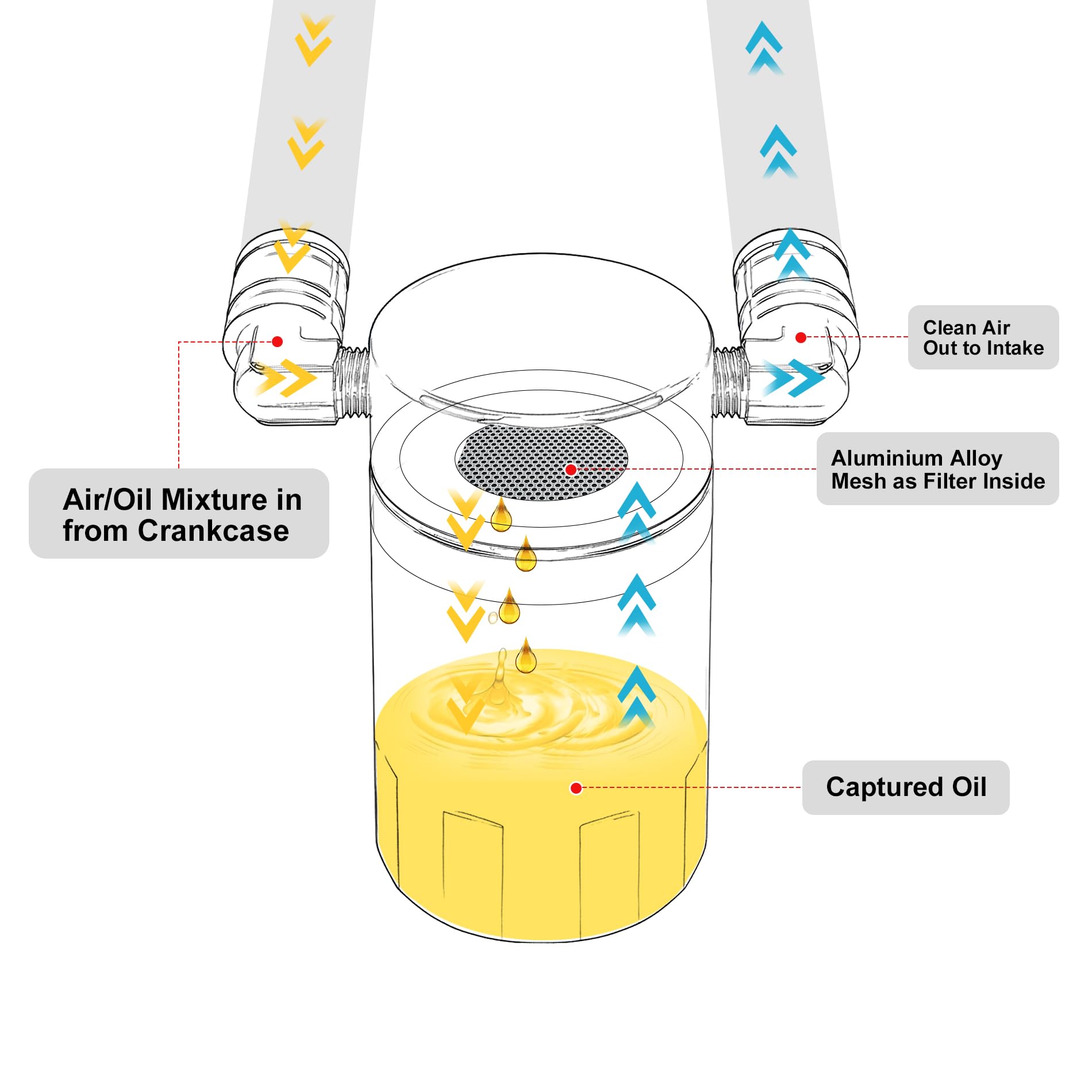 Evil Energy Oil Catch Can, 6.4L Air Oil Separator Compatible With Dodge 2011-2022 Charger 2011-2022 Challenger 2011-2022 Chrysler 300 5.7 Hemi Srt8 3Oz