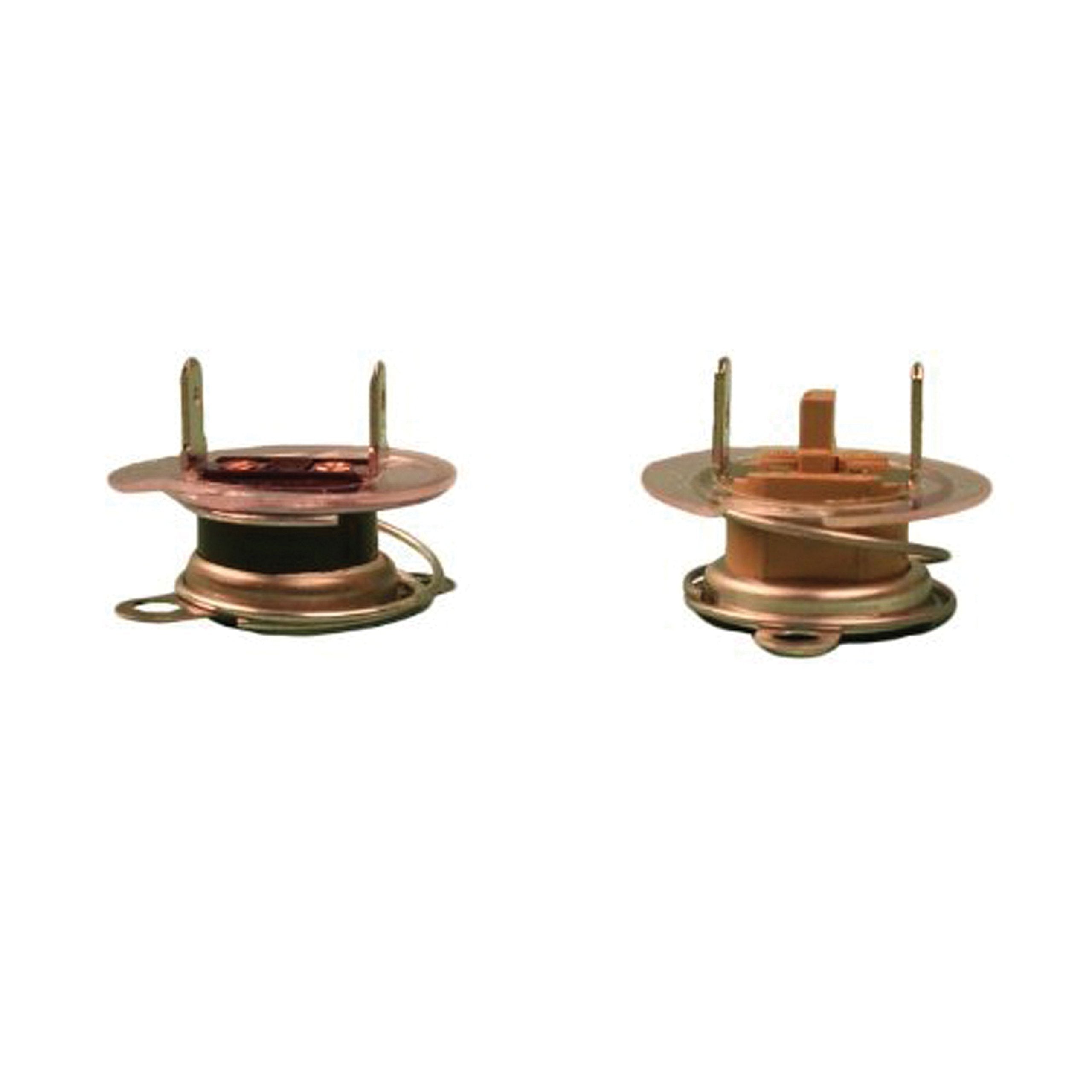 Atwood 91873 Pilot Water Heater Replacement Parts - Thermostat/E.C.O. 110 Vac