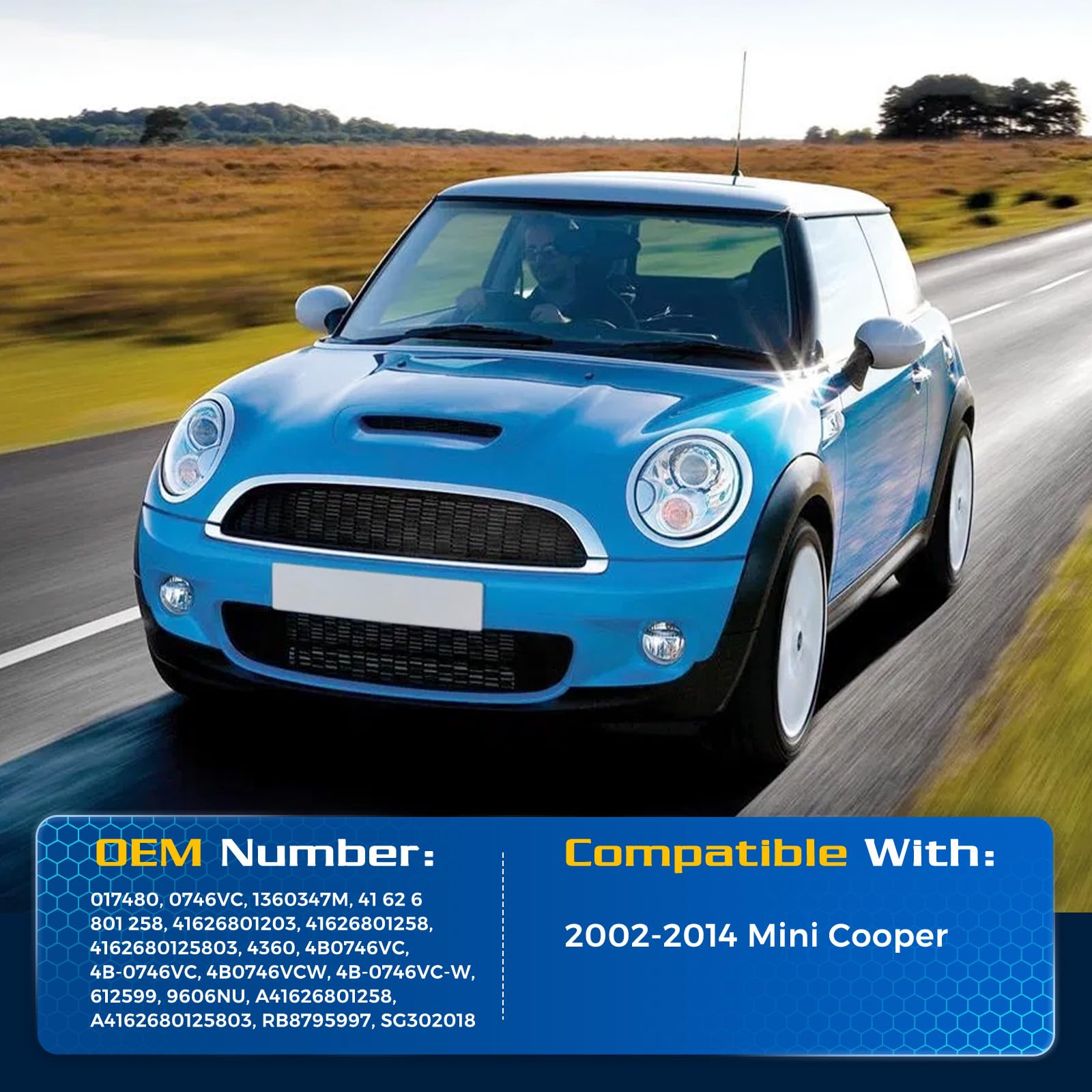 Arana Liftgate Struts For Mini Cooper 2002-2014, Rear Hatch Lift Support Tailgate Shocks Fits 2002-2014 Mini Cooper Base/Checkma