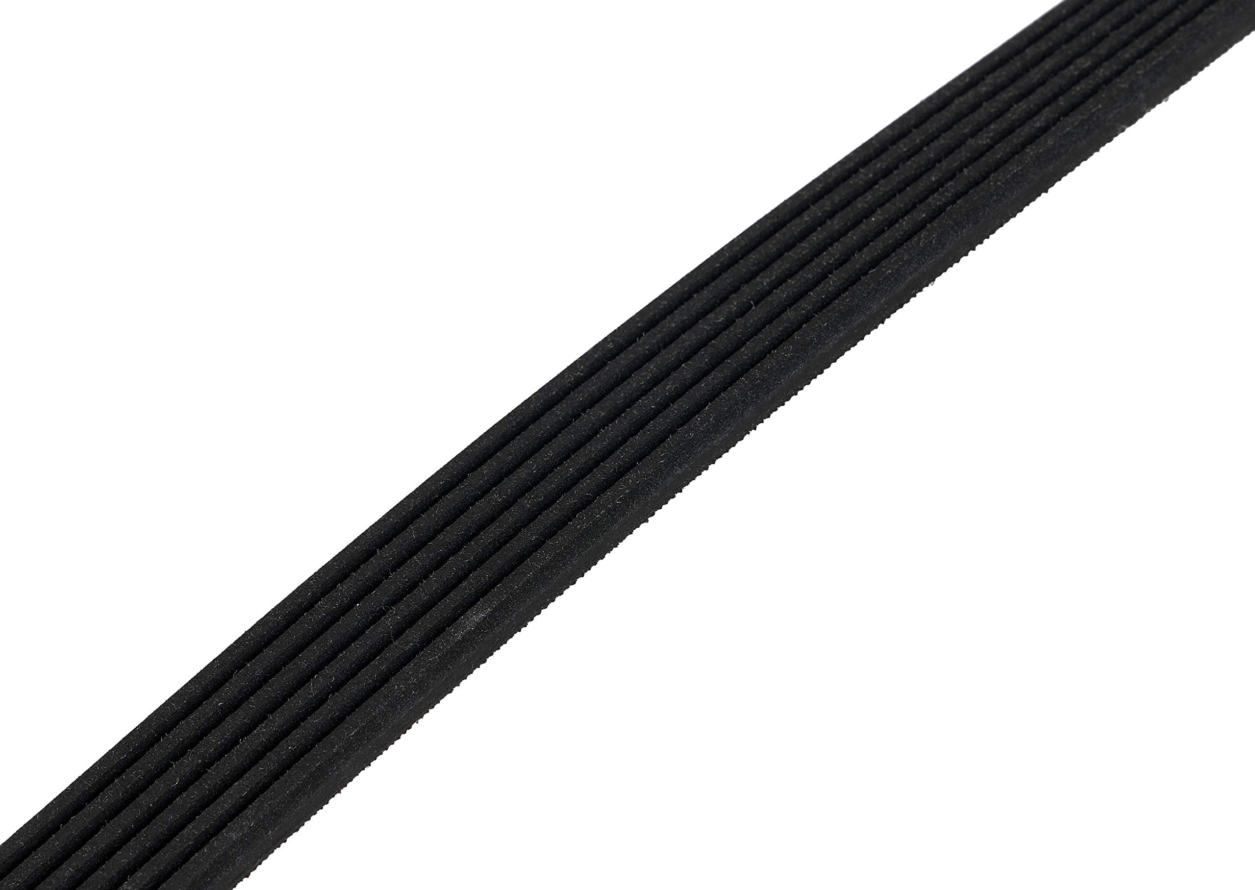 Michelin Serpentine Drive Belt Smamv6Pk2019