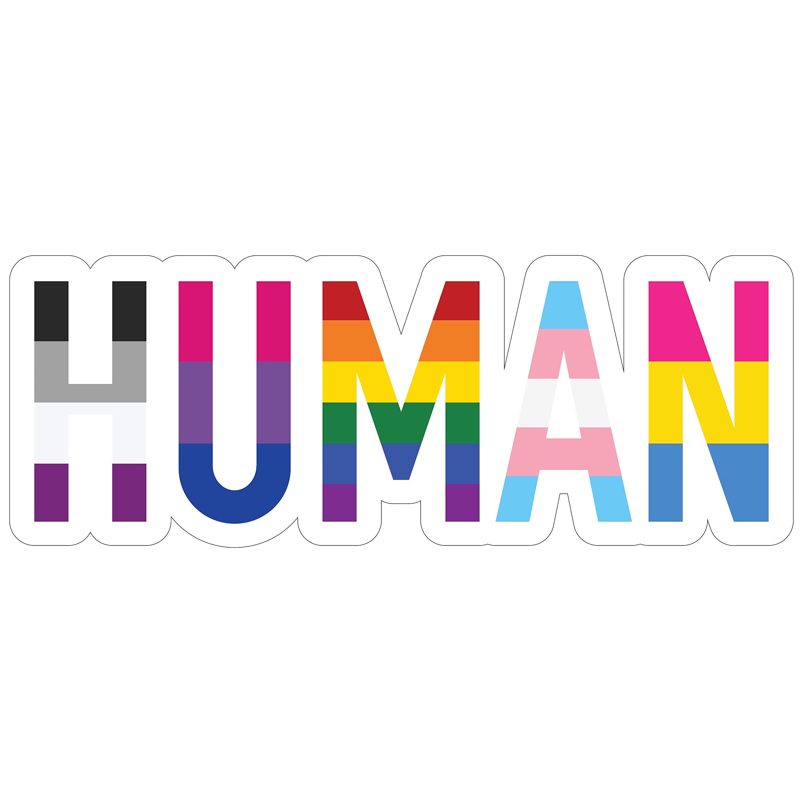 Human LGBT+ Gay Pride Sticker Rainbow Lesbian Bisexual Pansexual Transgender Flag Vinyl Decal Sticker Car Truck Bumper Sticker L