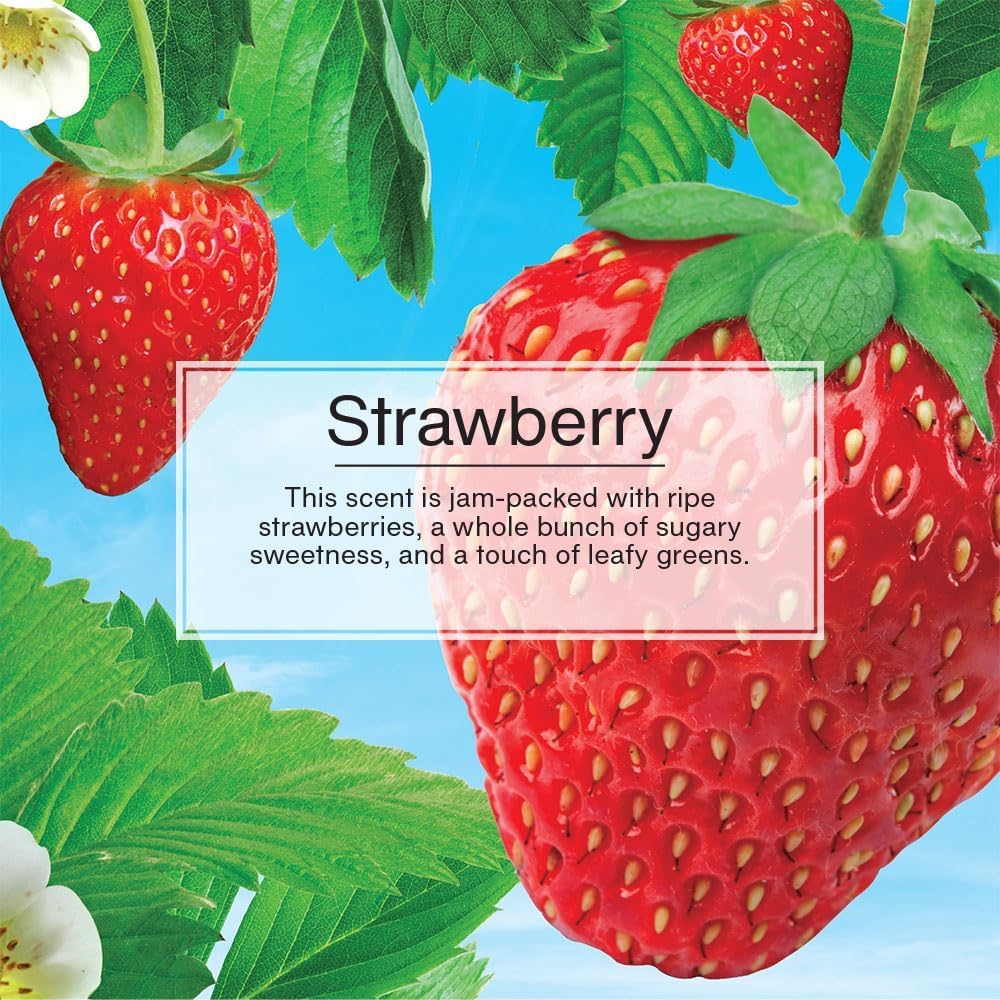 Little Trees Car Air Freshener. Vent Wrap Provides Long-Lasting Scent, Slip On Vent Blade. Strawberry, 16 Air Fresheners, 4 Coun