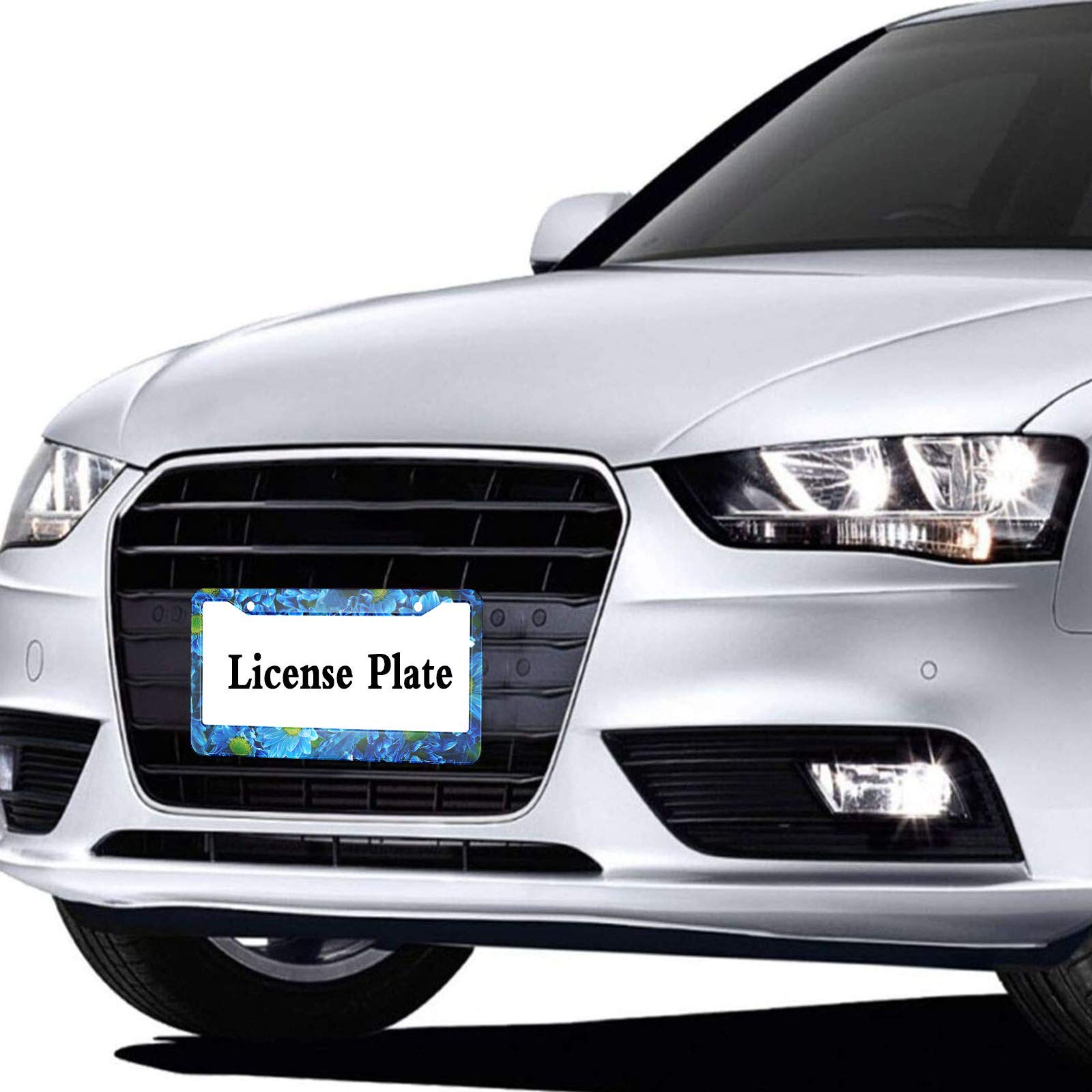 HOSNYE Blue Chrysanthemum License Plate Frame Macro Beautiful Flower Bush Metal License Plate Cover Front Plates Frames Car Tag
