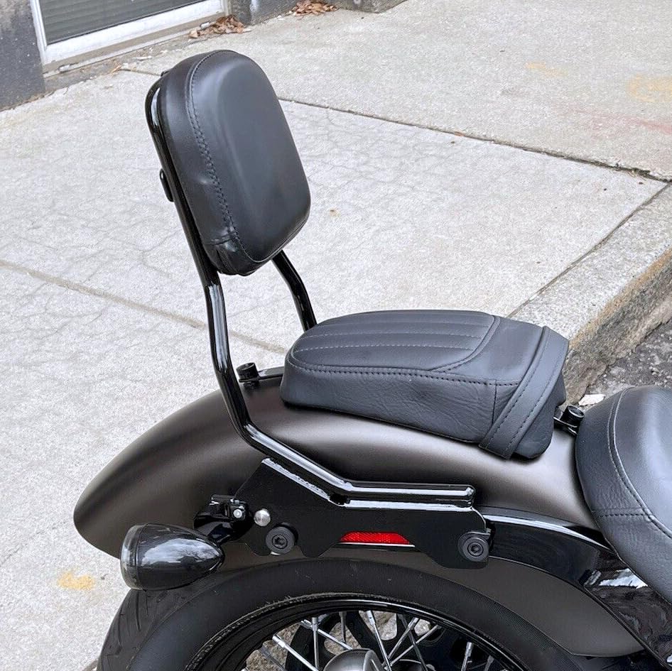 Xjmoto Wsays Standard Height Sissy Bar Detachable Upright Passenger Backrest Compatible With Harley Softail Flde Flhc Flhcs Flsl Fxbb Fxbbs And Fxst 2018-2024 Models, Gloss Black