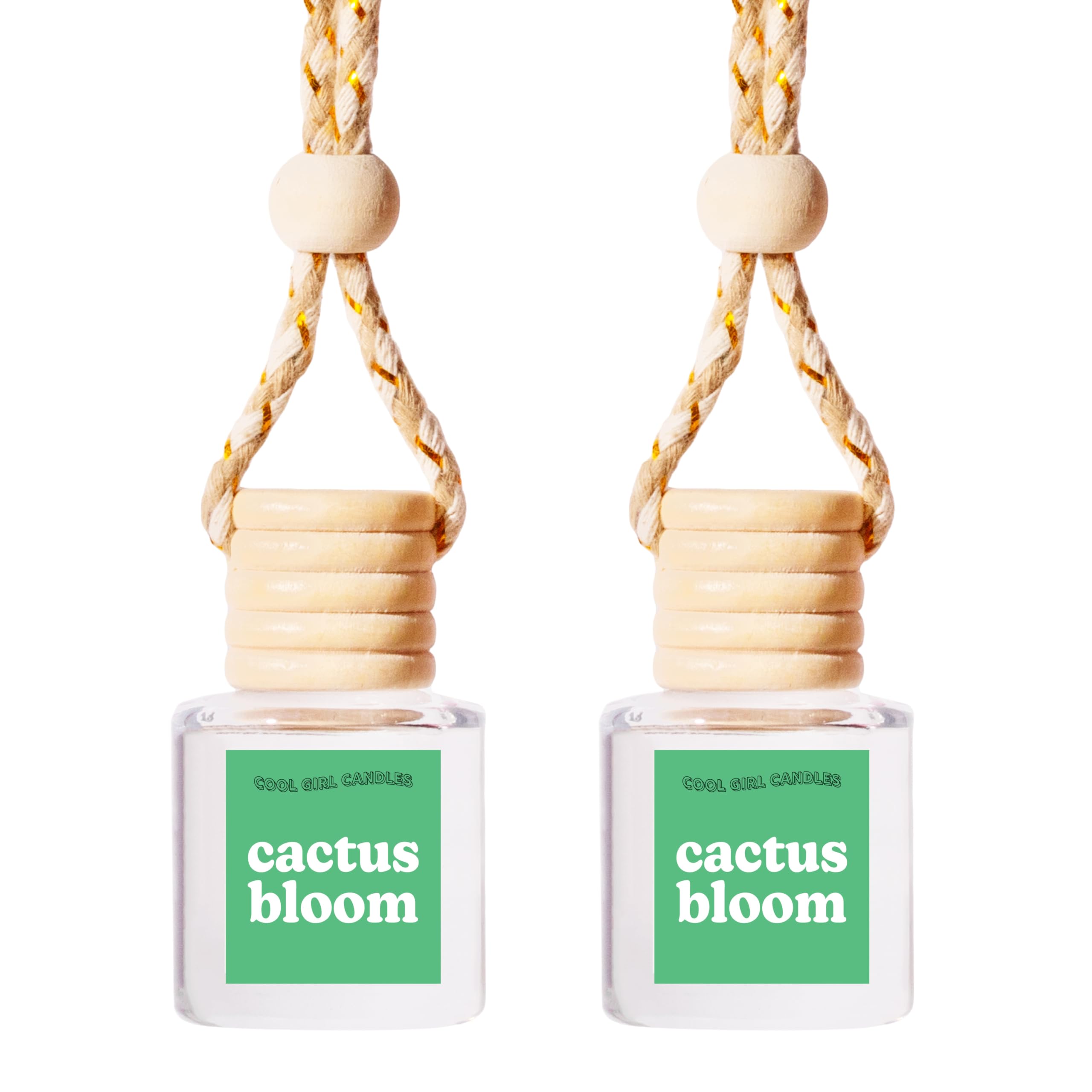 Coolgirlcandles Cactus Bloom Car Air Hanging Fragrance Oil Diffuser Car Air Freshener Diffuser For Essential Oils, Scents Aromat