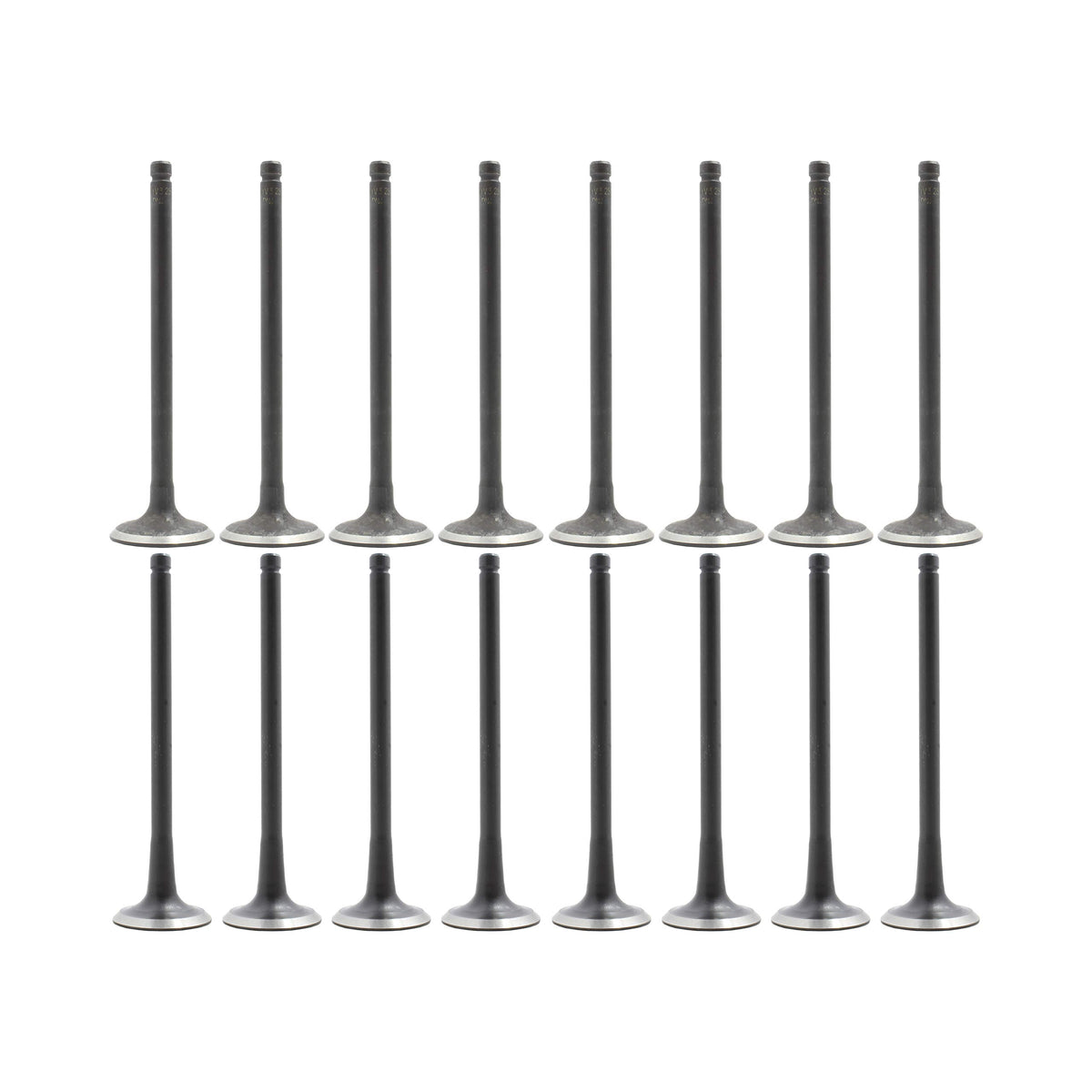 Dnj Vk16325 Exhaust Intake Valve Kit For 2004 To 2008 Chevrolet Aveo, Aveo5 L4 1.6L Dohc 16V Ev325 X8 Iv325 X8