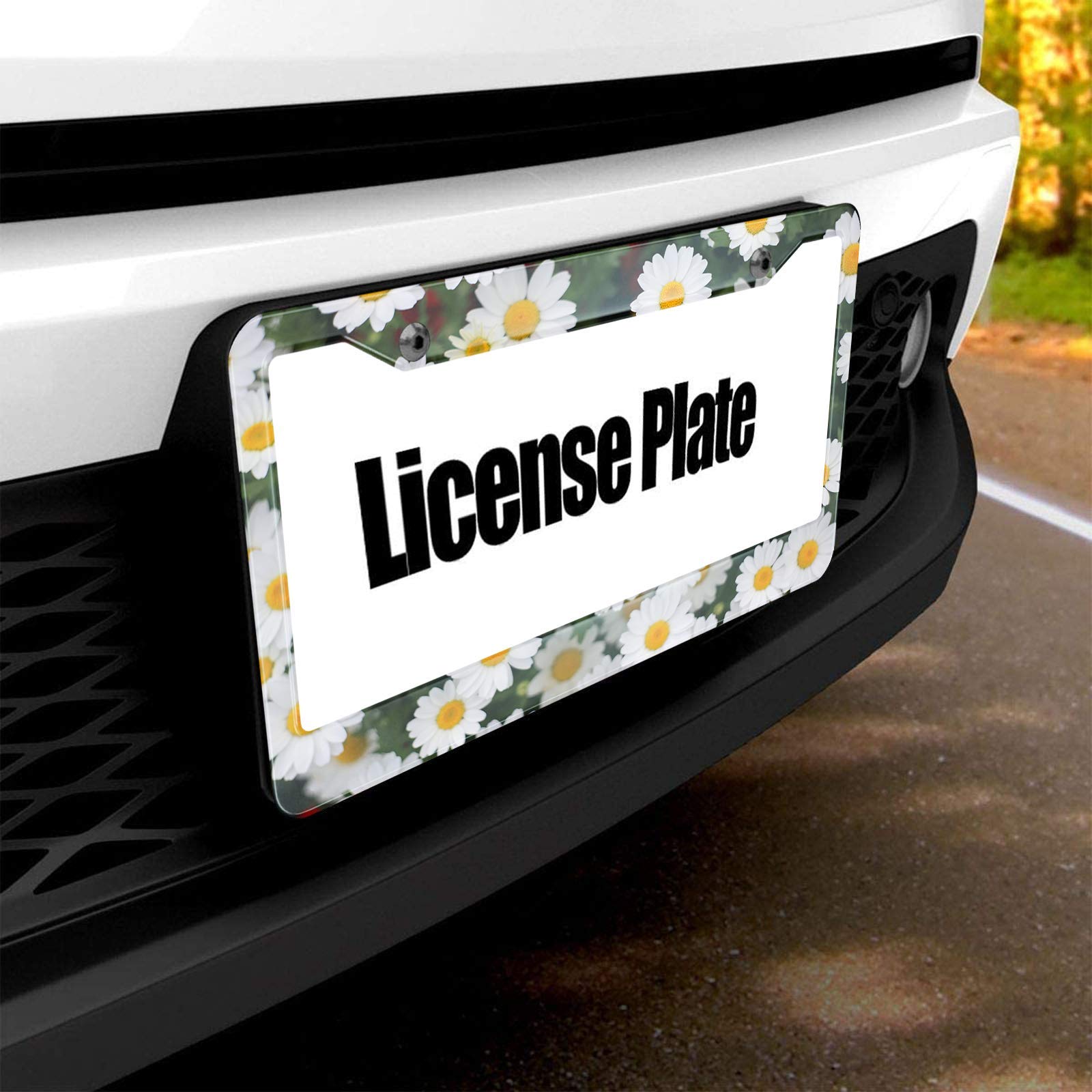 HOSNYE Daisy Flower License Plate Frame White and Yellow in The Grass Metal License Plate Cover Front Plates Frames Car Tag Fram