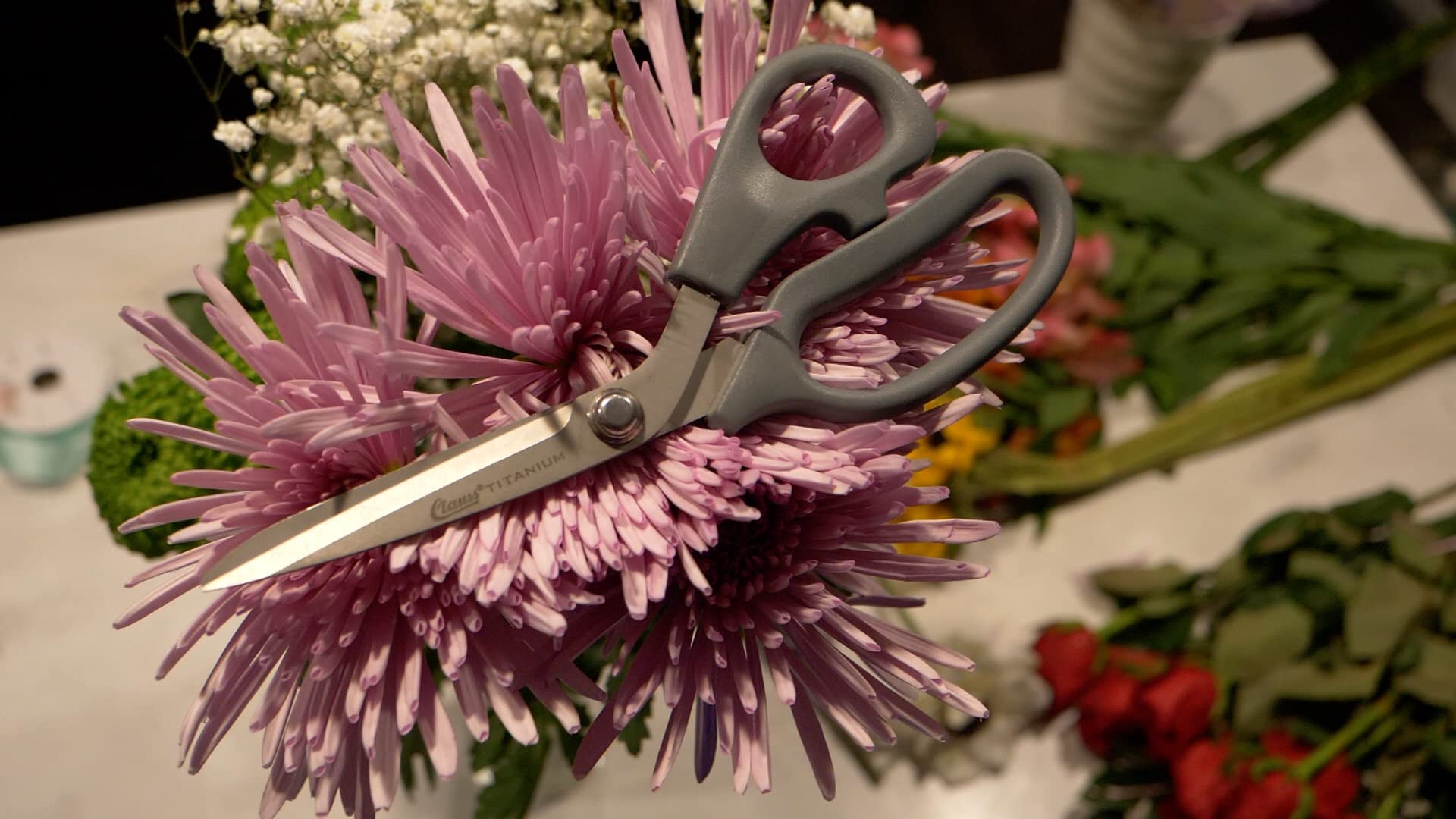 Clauss 18081 8-Inch Bent Titanium Bonded Adjustable Tension Shears With Extra Large Ultraflex Handles, Grey