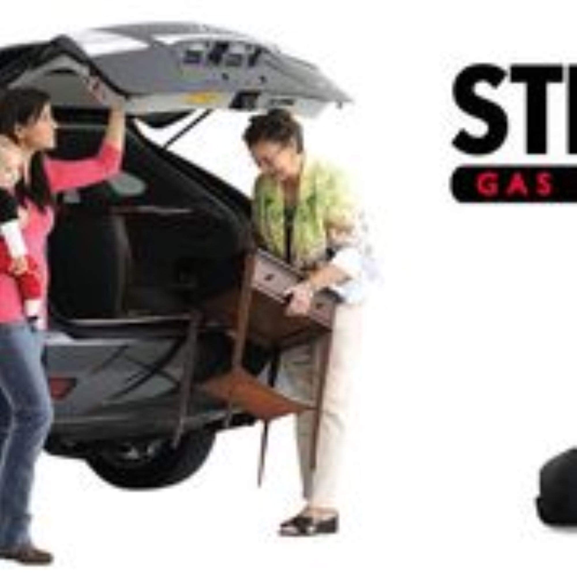 Strongarm 6156 Tailgate Lift Support, Pack Of 1, Black