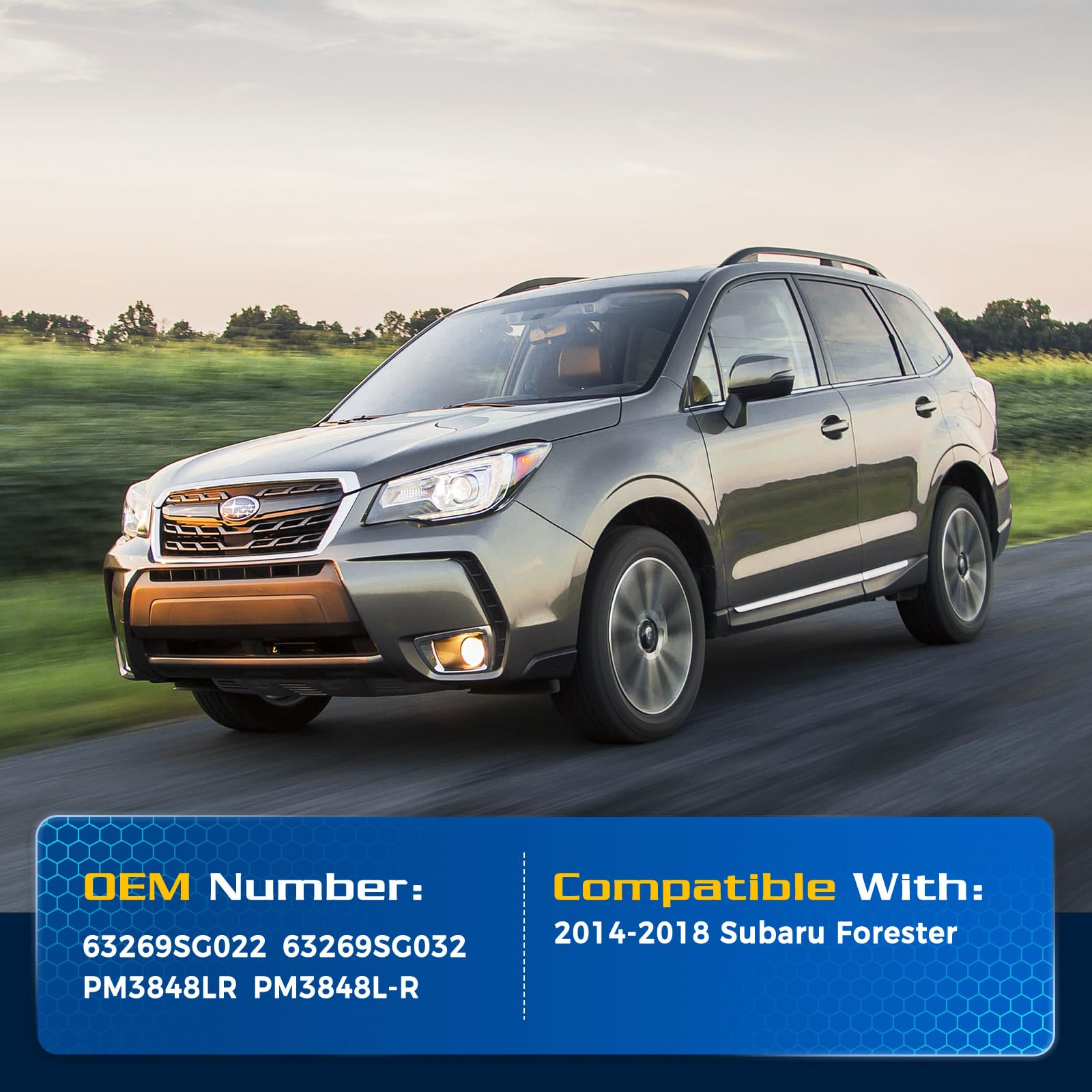 ARANA Rear Hatch Struts for 2014-2018 Subaru Forester, Trunk Shocks Lift Support, 2 Pcs, Fits Power Liftgate Models, Black