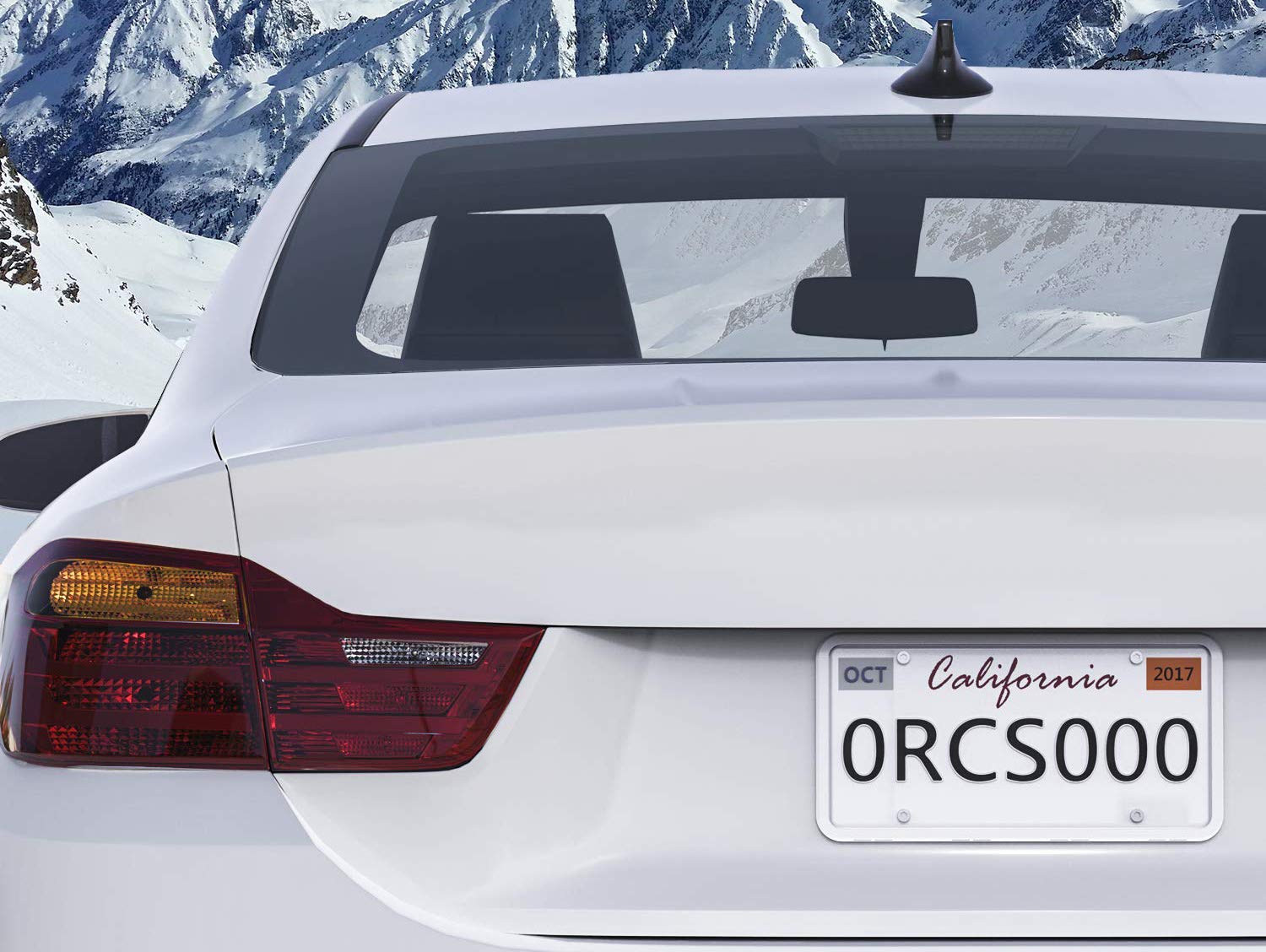 Lfparts Stainless Steel License Plate Backing Reinforce Holder/Bracket (Chrome)