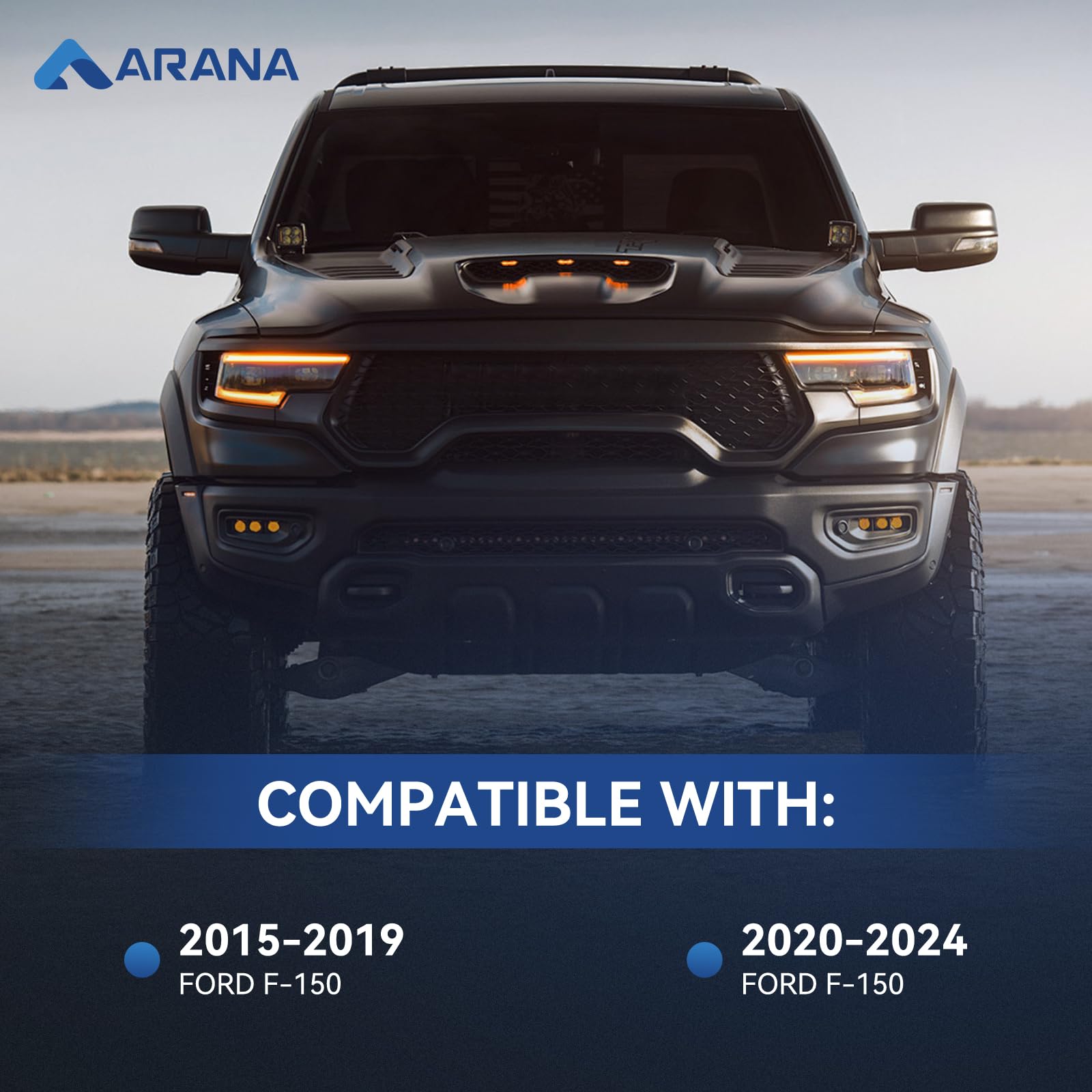 Arana Tailgate Assist Shock For Ford F150, 2015-2024 F-150 Tail Gate Slow Drop Accessories Fits Ford F150 Xl Xlt Lariat King Ran