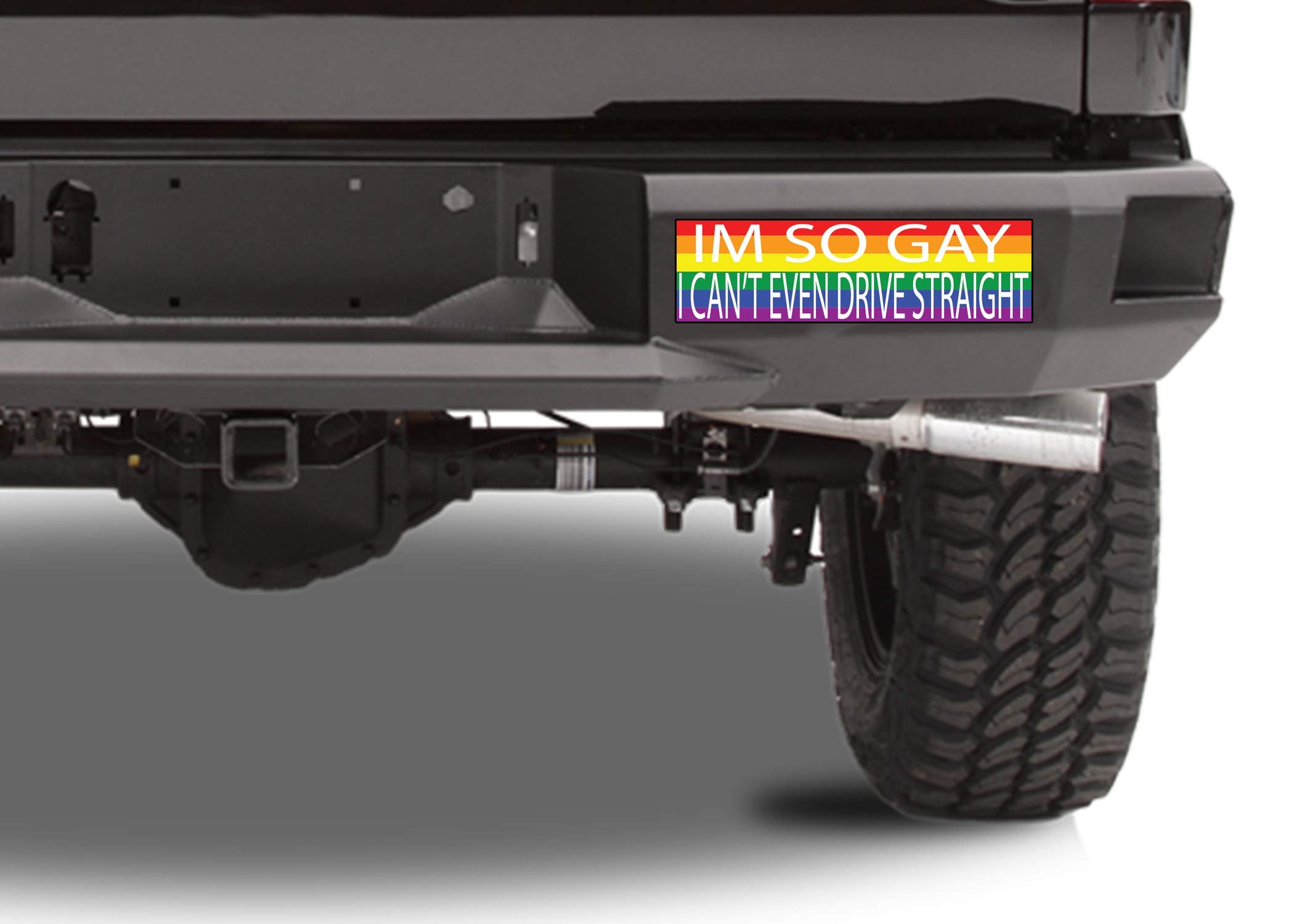 Rogue River Tactical Rainbow LGBT Bumper Sticker - Funny Vinyl Auto Decal, Model RR-D1163, Large, Window/Car/Truck/Boat