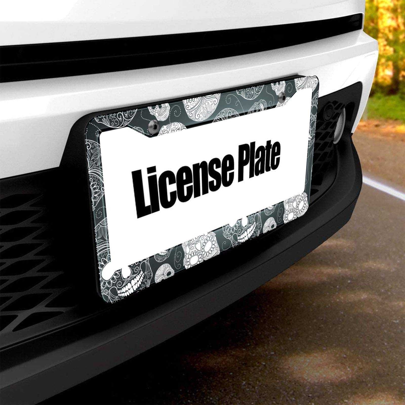 HOSNYE Black and White Sugar Skull License Plate Frame Day of The Dead Cartoon Indian Style Metal License Plate Cover Front Plat