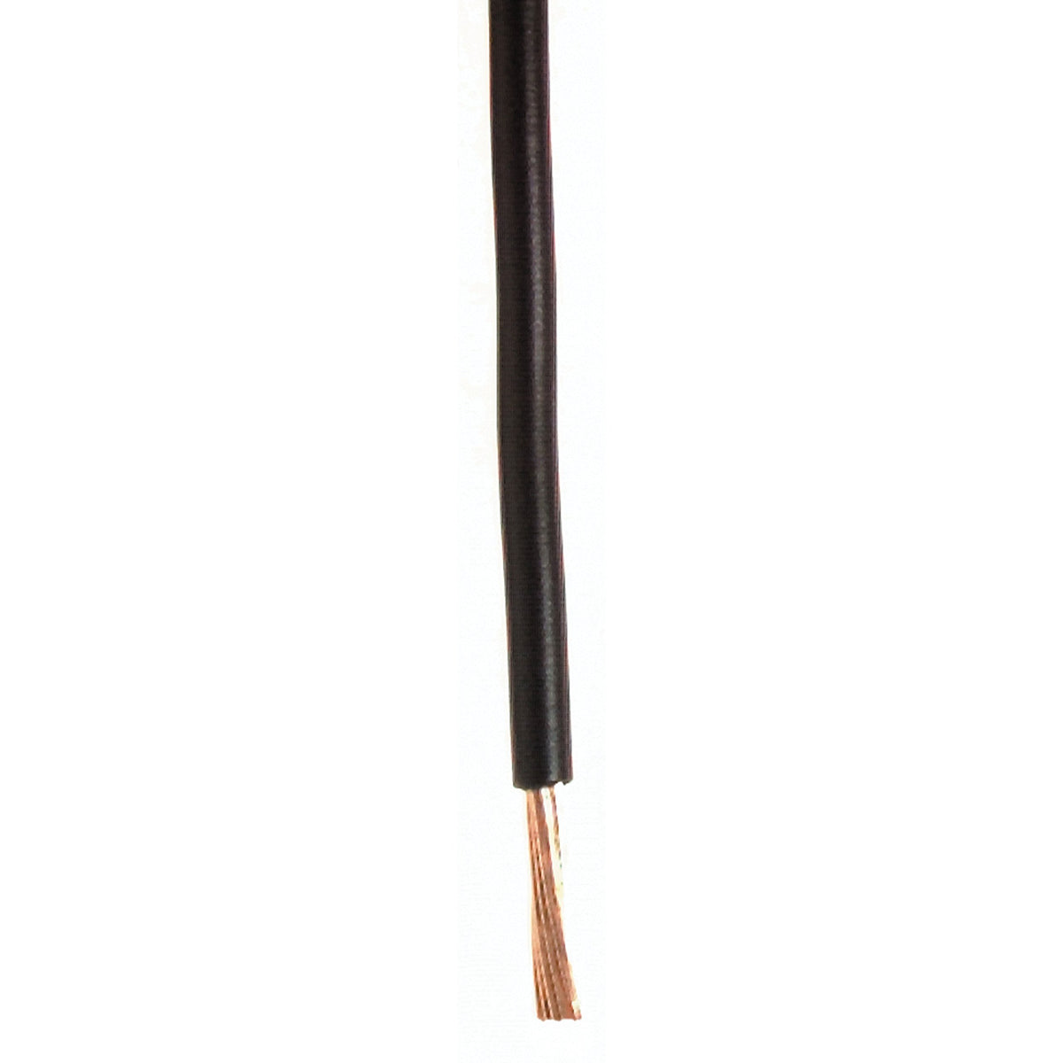 Wirthco 81107 Plastic Primary Wire Single Conductor - 18 Gauge, 100', Black