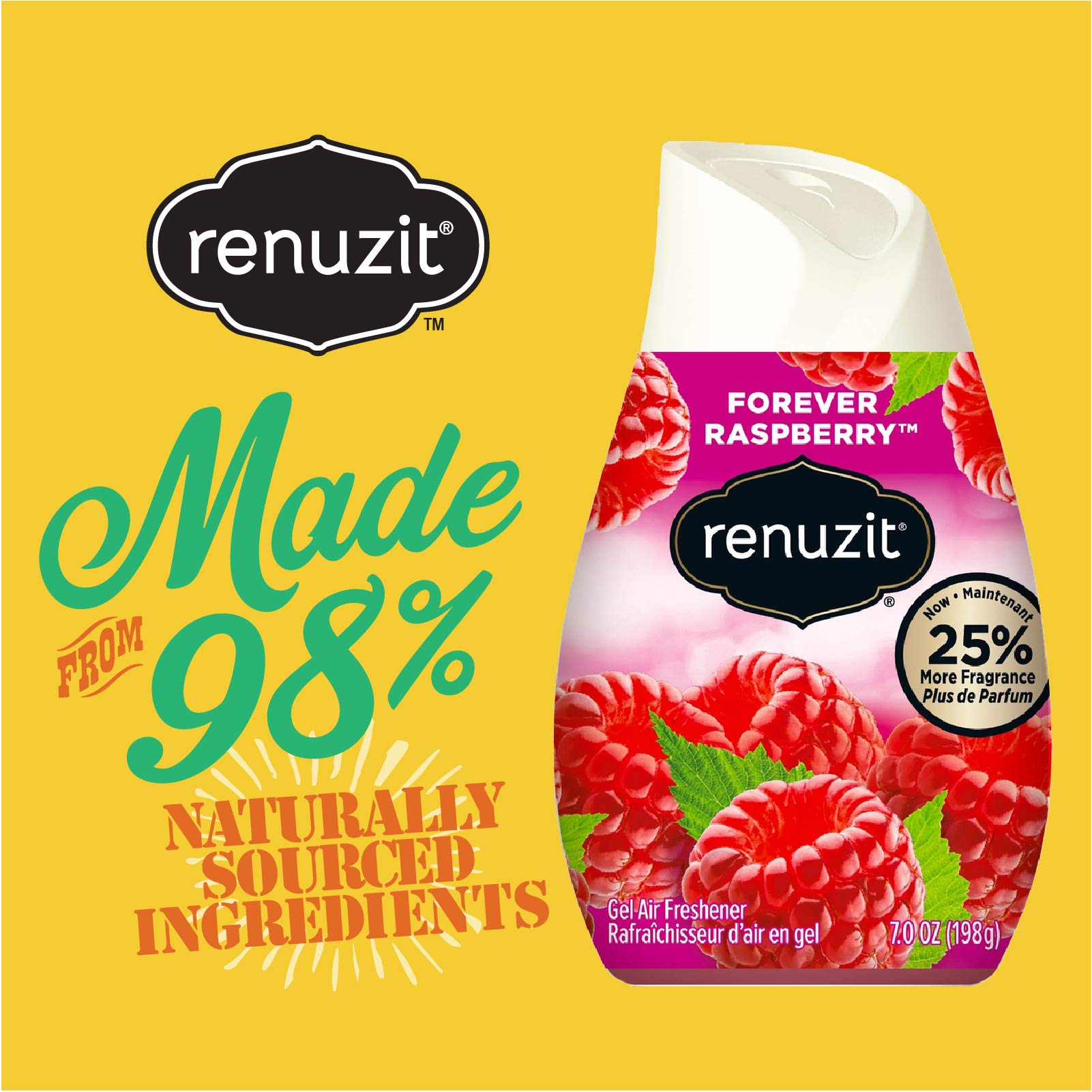 Renuzit 03667 7 Oz Raspberry Adjustable Aroma Cone Air Freshener