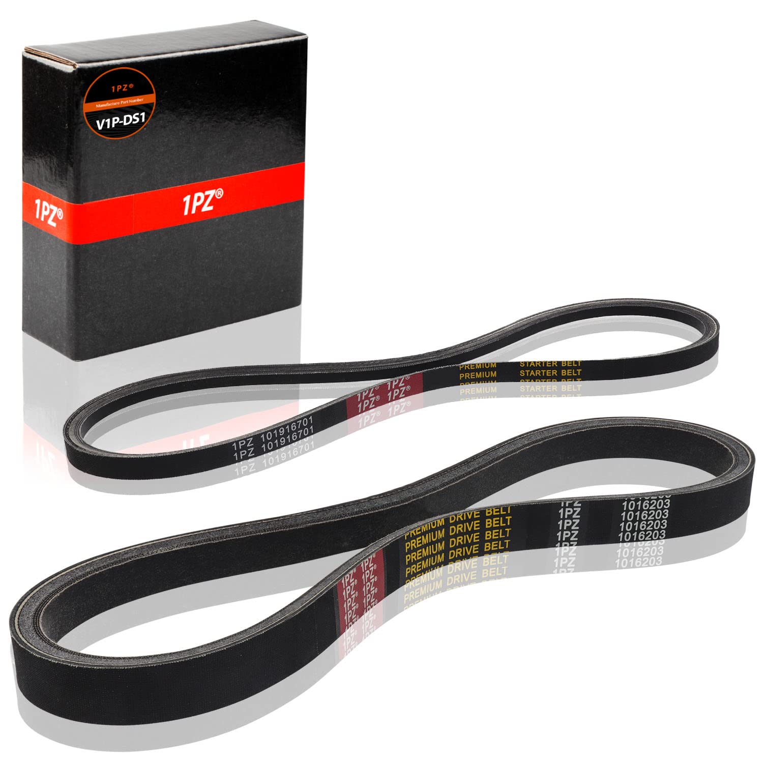 1PZ V1P-DS1 Clutch Starter Generator Belt & Drive Belt kit Replacement for Club Car DS 1997-Up & Precedent 2004-Up Golf Cart 101