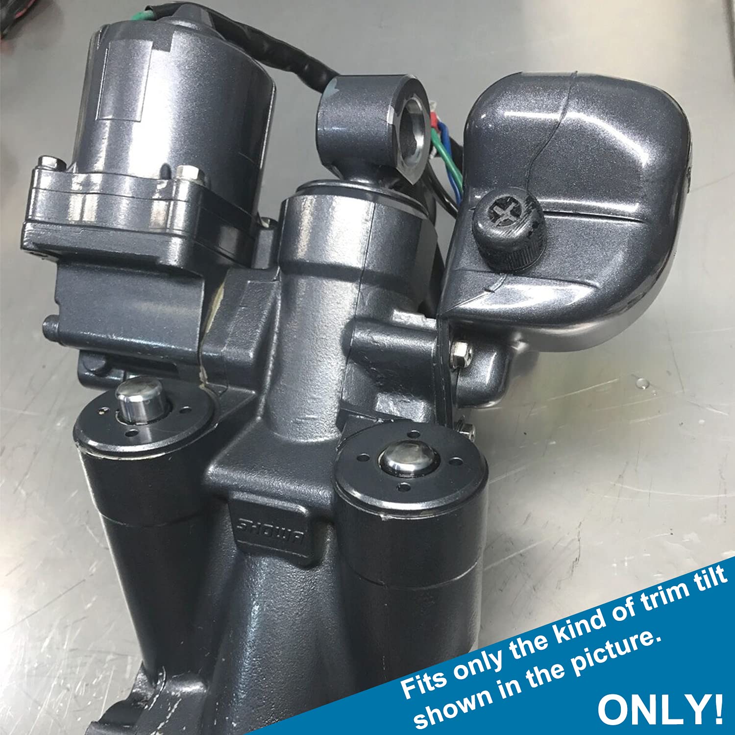 Tilt Trim Seal Kit 1997 & Up 115225Fs Fast Strike Power For Yamaha Boat Power Units 115Hp 150Hp 175Hp 200Hp (Some 225Hp 250Hp) For Showa & 63P-43800-00-4D 64E-43822 With More O-Ring