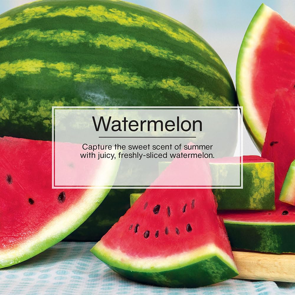 Little Trees Air Fresheners Car Air Freshener. Hanging Tree Provides Long Lasting Scent For Auto Or Home. Watermelon, 24 Air Fre