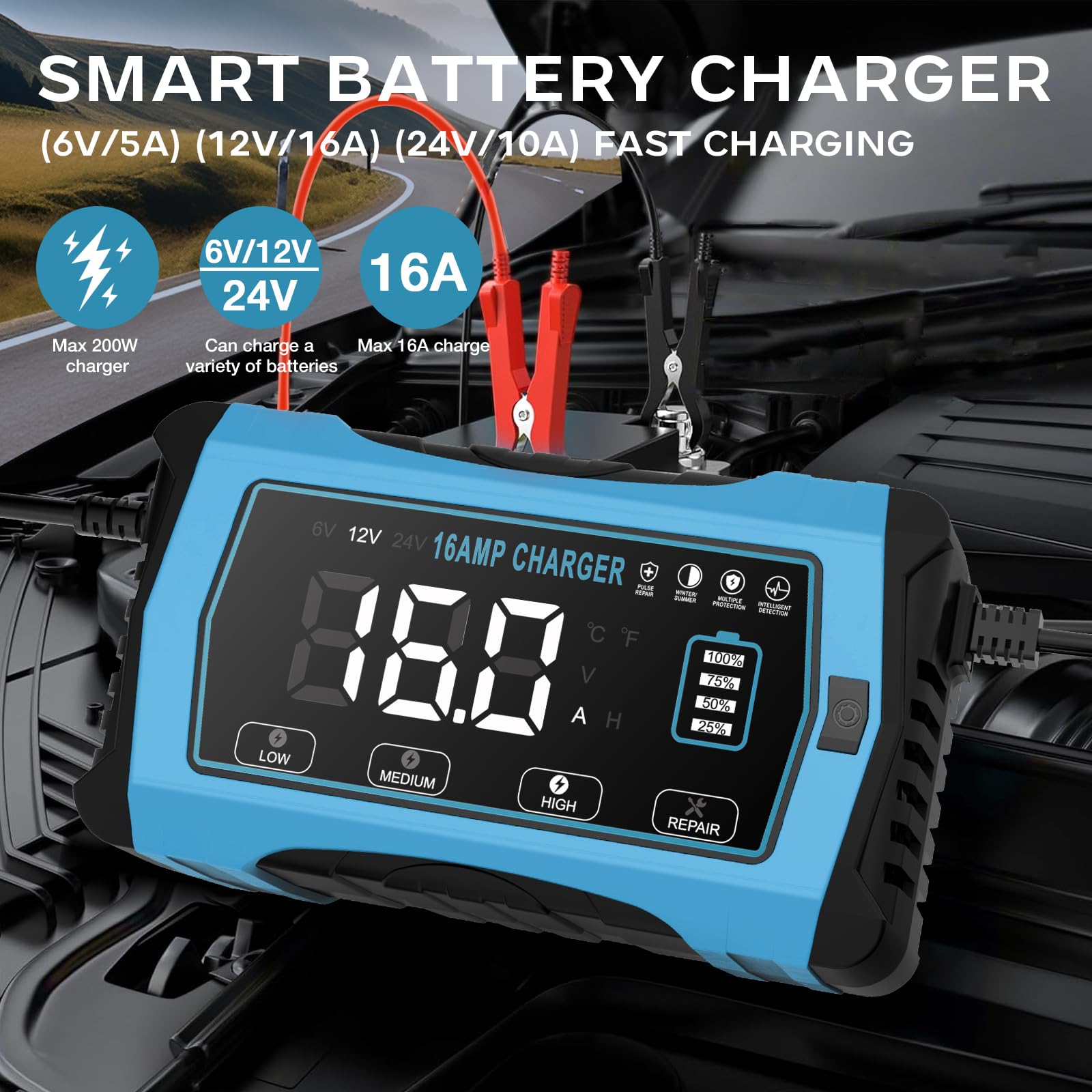 16 Amp Battery Charger,12V 24V LiFePo4 Lead-Acid Lithium Smart Car Battery Charger and Maintainer,Trickle Charger for Car/Motorc