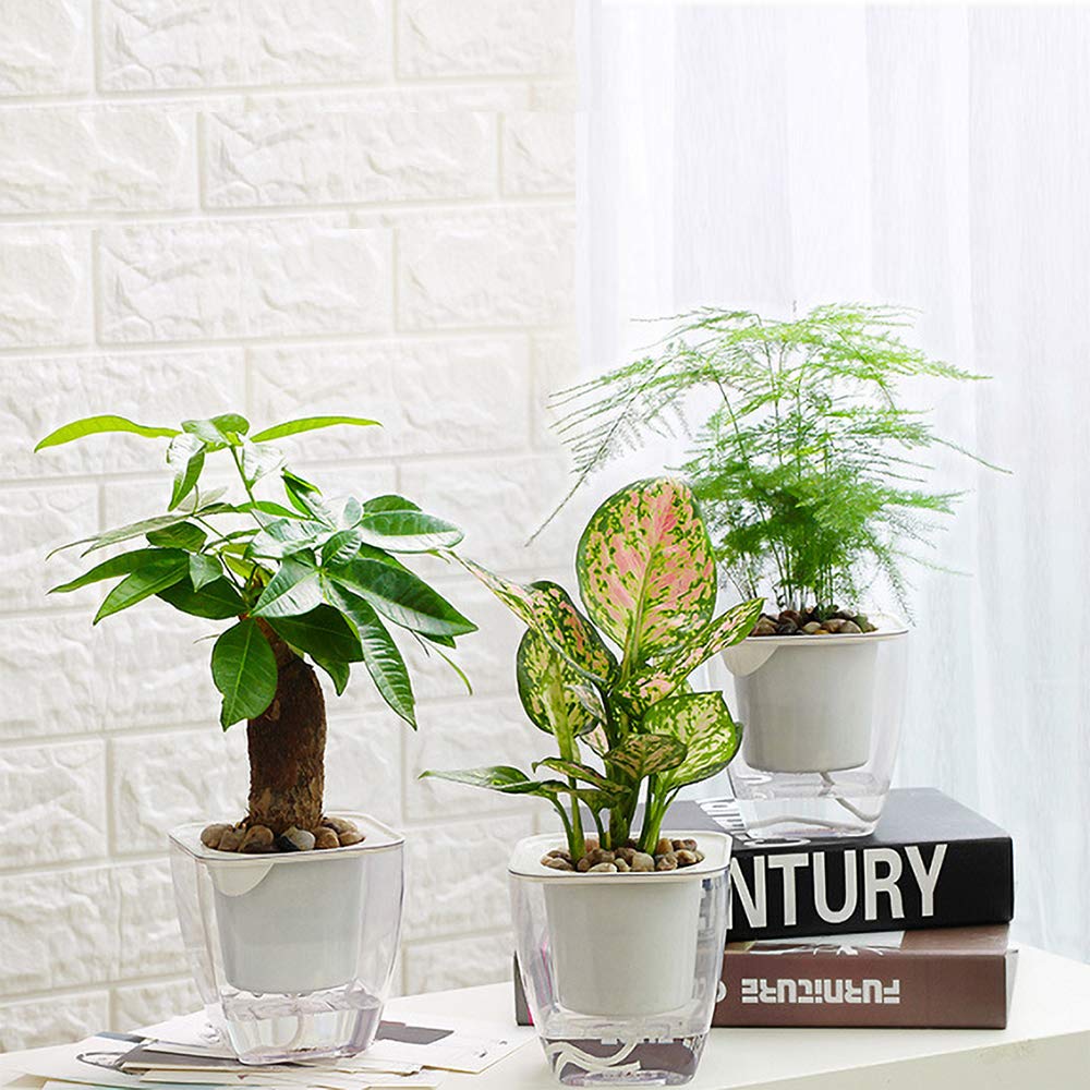 Fengzhitao Self-Watering Planter, Clear Plastic Automatic-Watering Planter Flower Pot Square-Plant-Pot For All Plants, Succulent