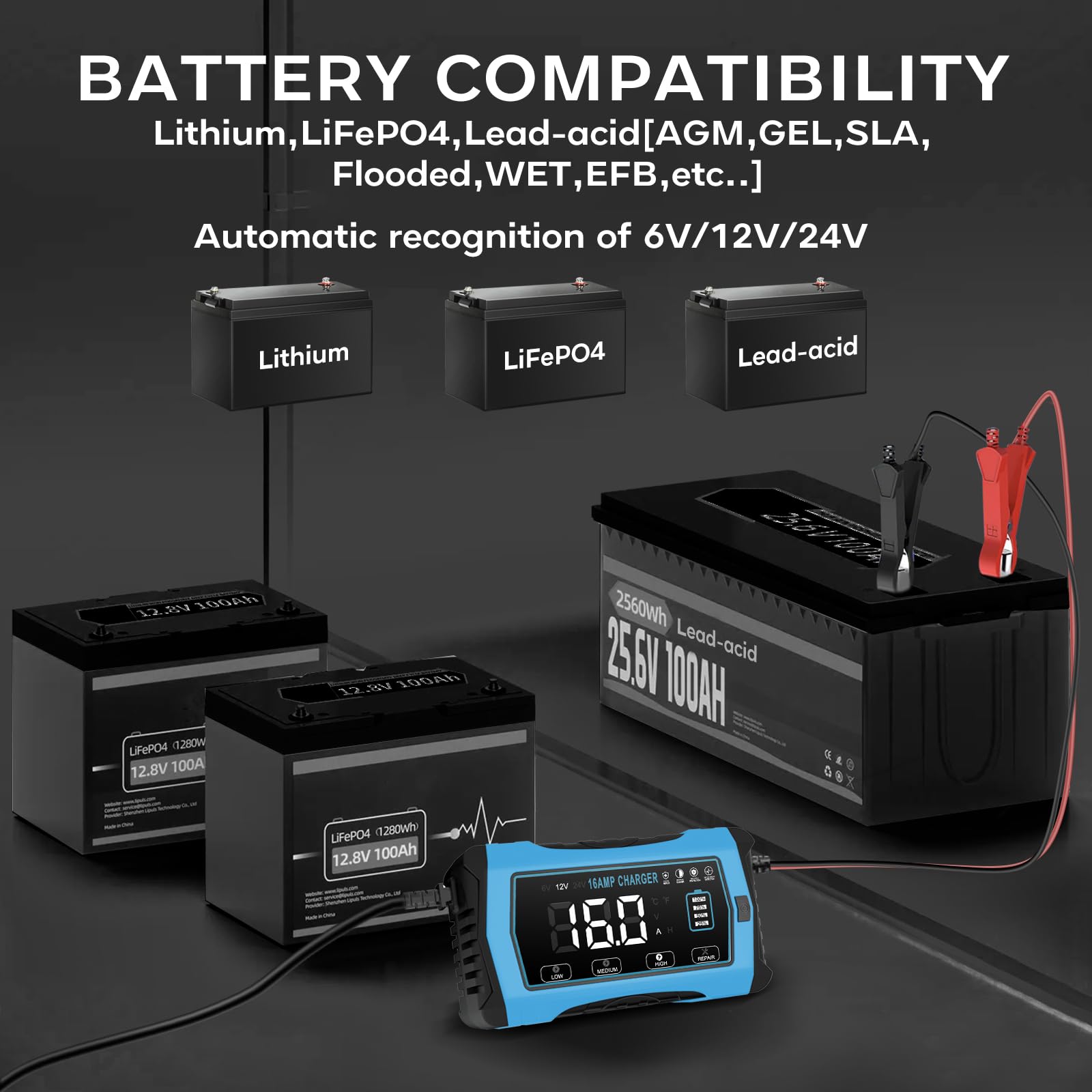 16 Amp Battery Charger,12V 24V LiFePo4 Lead-Acid Lithium Smart Car Battery Charger and Maintainer,Trickle Charger for Car/Motorc