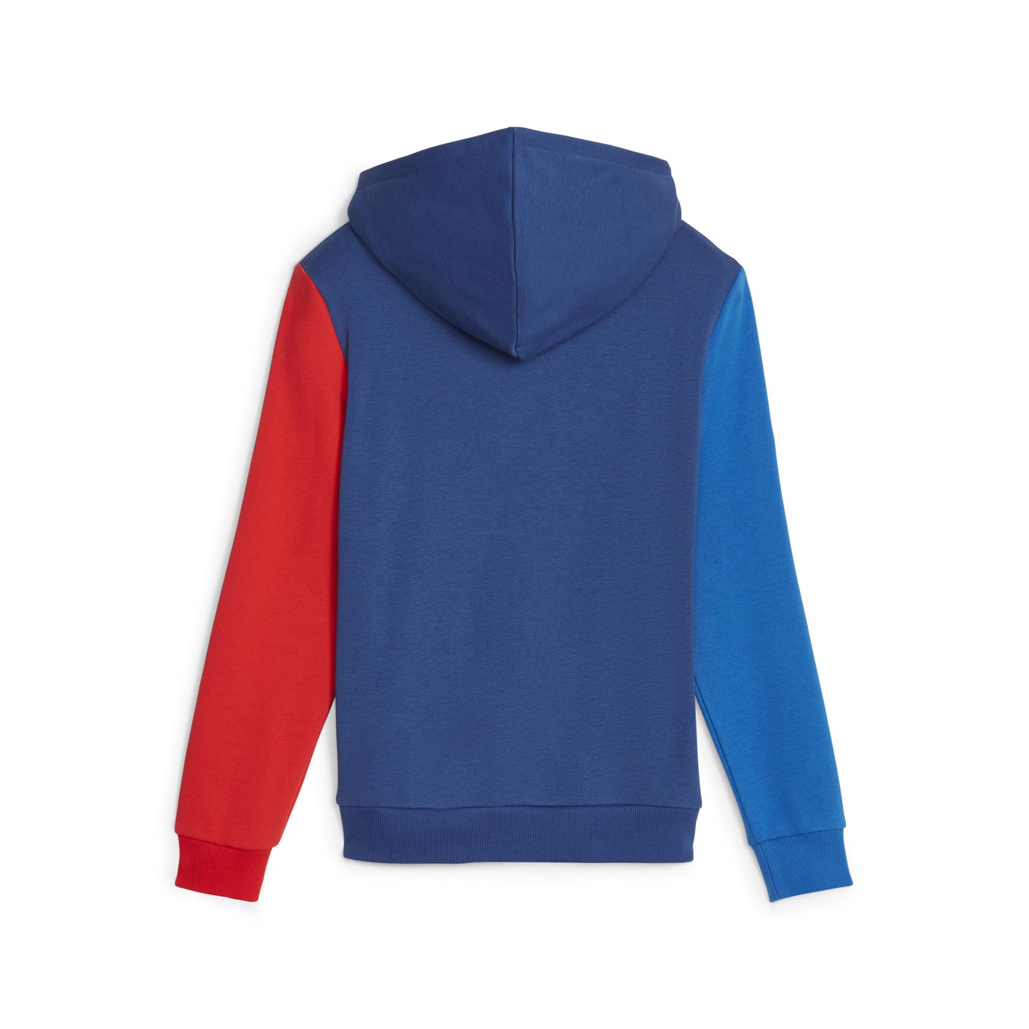 PUMA BMW M Motorsport Hoodie