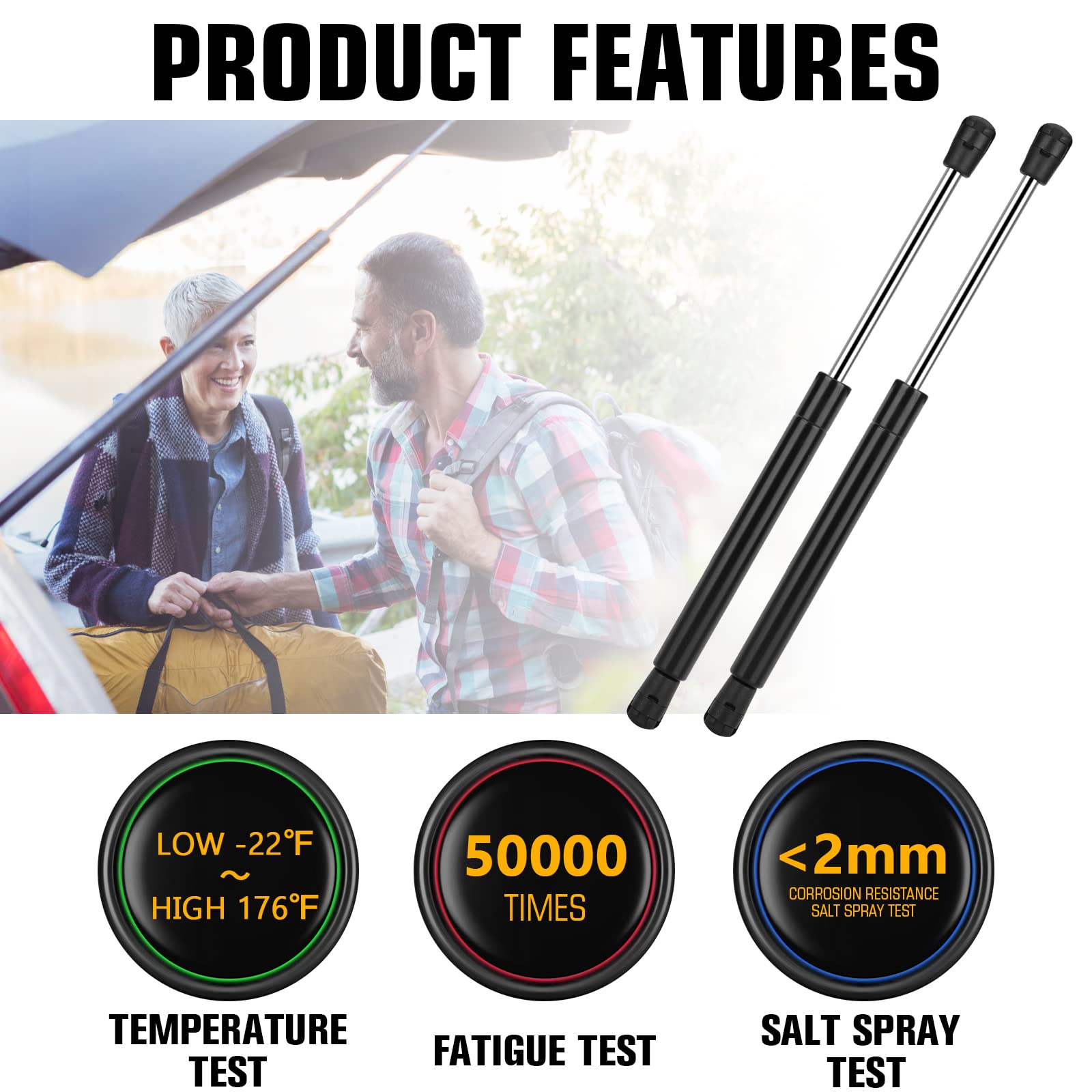 Rear Trunk Lift Support Shocks for Dodge Challenger 2008-2018 Gas Spring Strut Rod 6657 2 Pcs