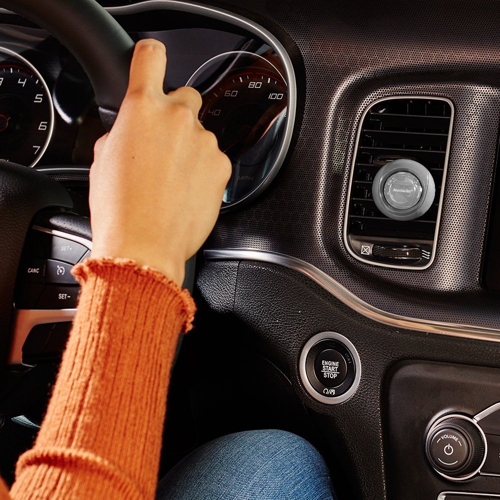 Armor All Car Air Freshener and Purifier - Odor Eliminator for Cars & Truck, Freshfx Island Oasis, 0.08 Fl Oz Vent Clip, Pack of