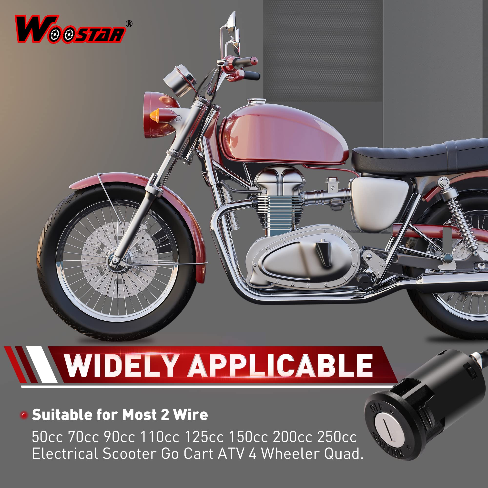 WOOSTAR 2 Wire Ignition Key Switch On Off 2 Position Replacement for 50cc 70cc 90cc 110cc 125cc 150cc 200cc 250cc Electrical Sco