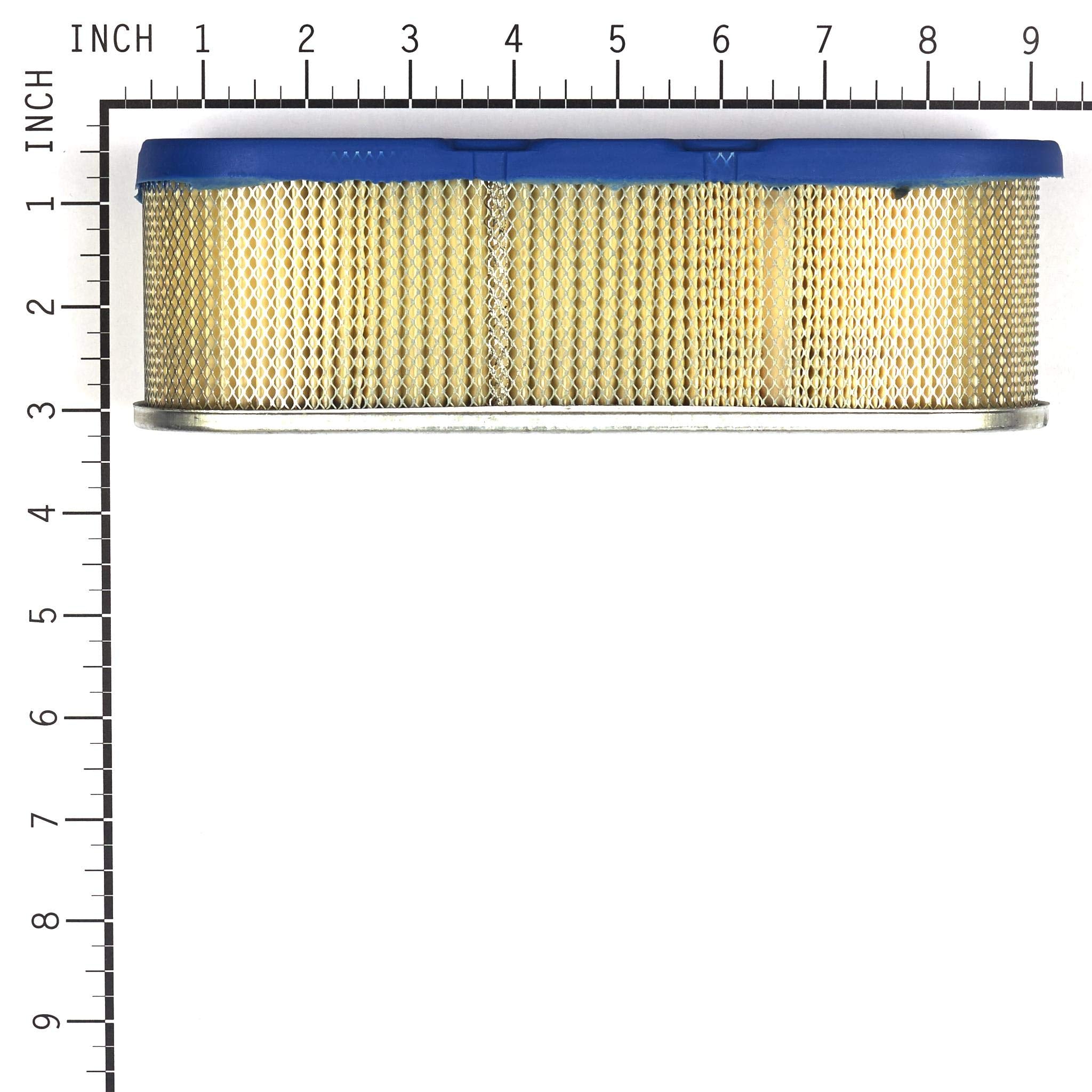 Briggs & Stratton 399806S Oval Air Filter Cartridge