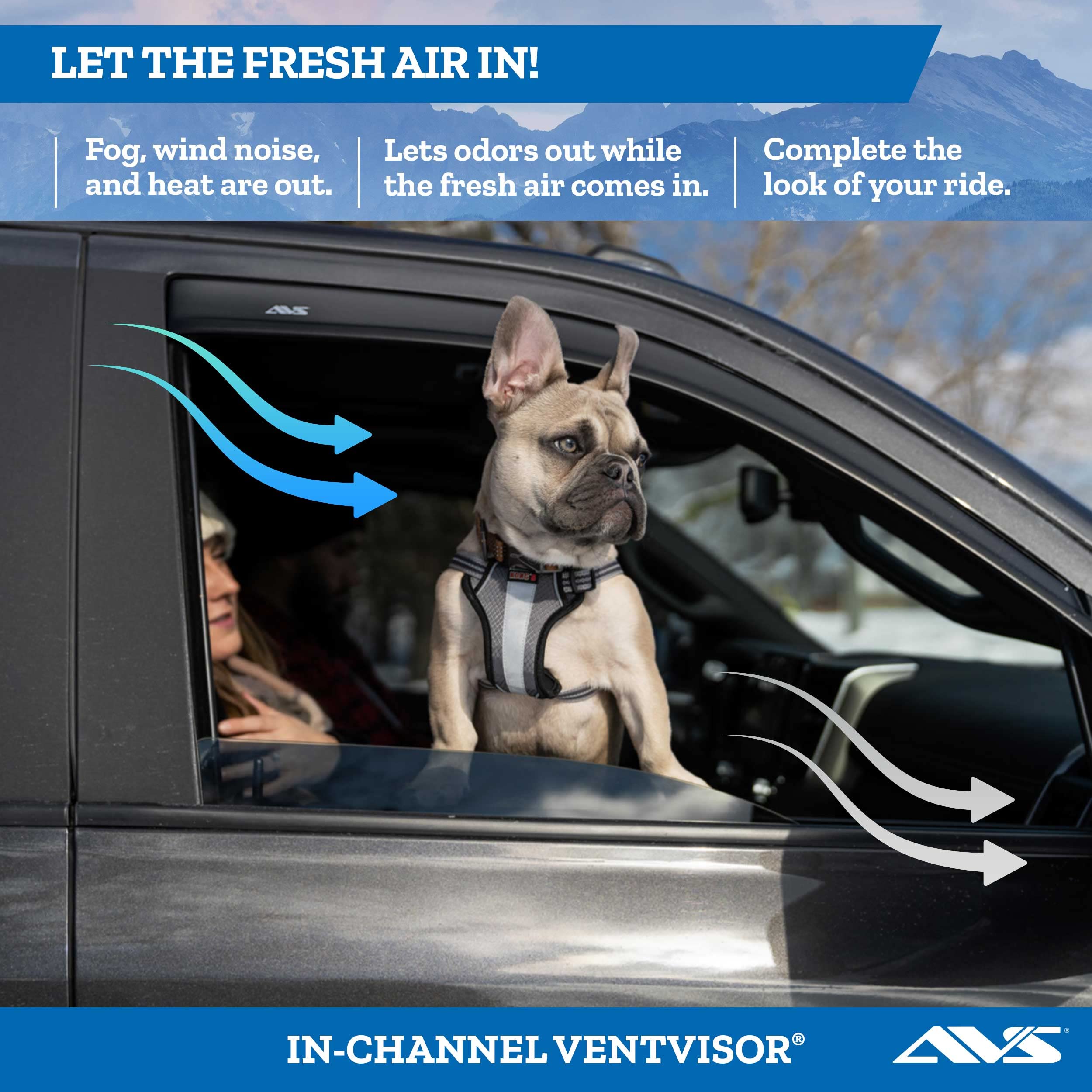 Auto Ventshade [Avs] In-Channel Ventvisor / Rain Guards | Fits 2015 - 2024 Ford F-150, 2017 - 2024 Ford F-150 Raptor Supercrew -