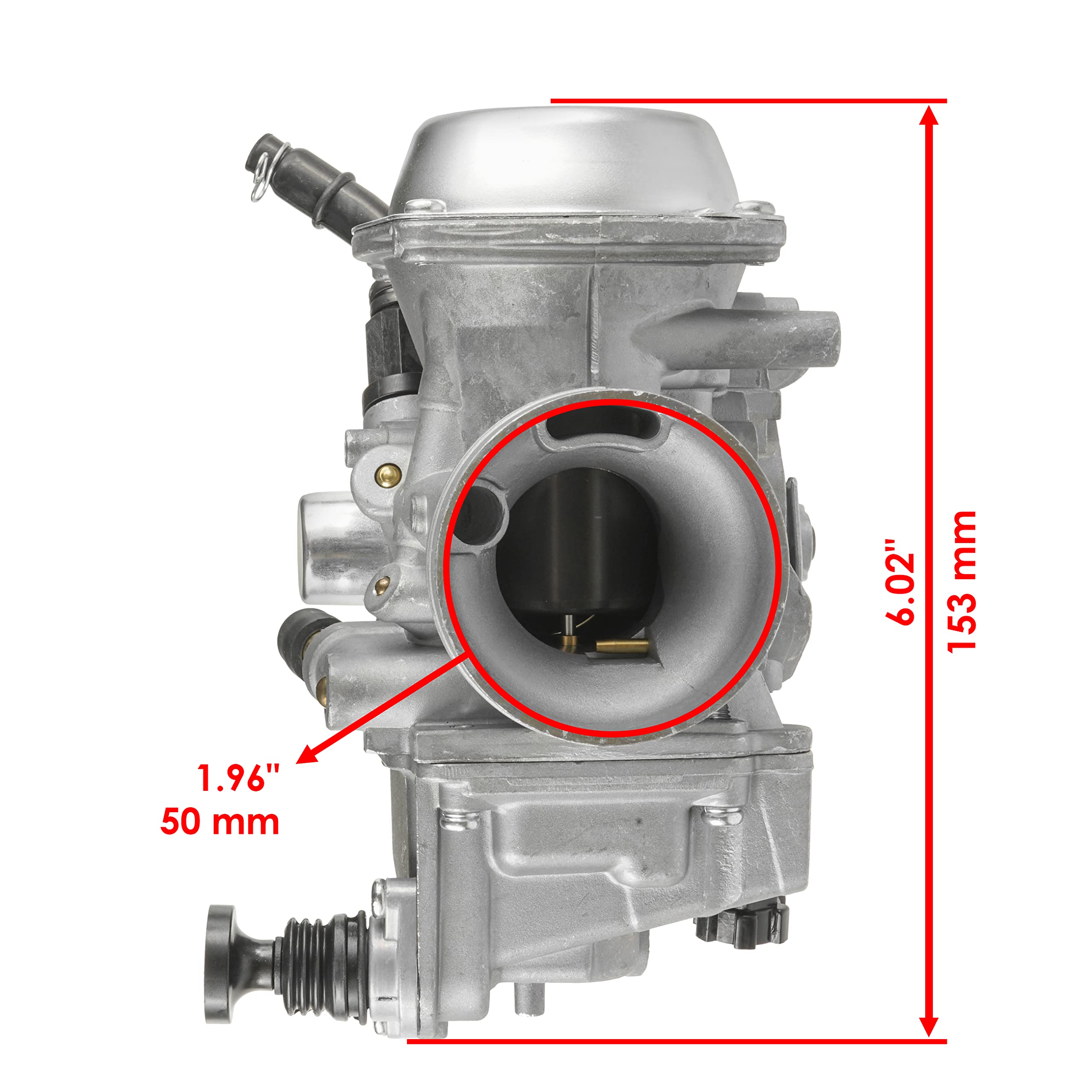Caltric Carburetor Compatible With Honda Fourtrax 300 Trx300 / Trx300Fw 4X4 1988-2000 16100-Hm5-L01