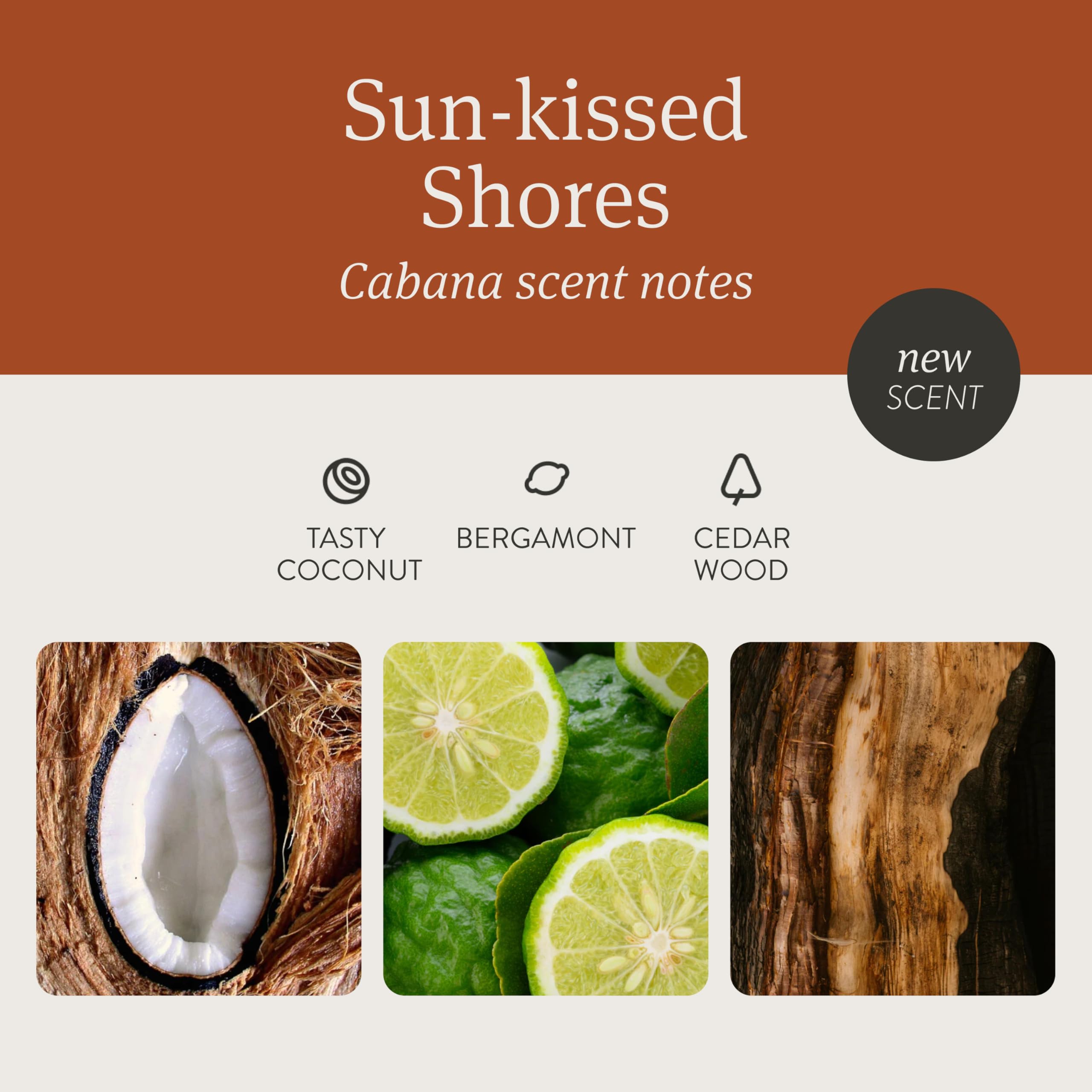 Drift Car Air Freshener - Wood Air Freshener - Car Odor Eliminator - Cabana Scent Starter Kit