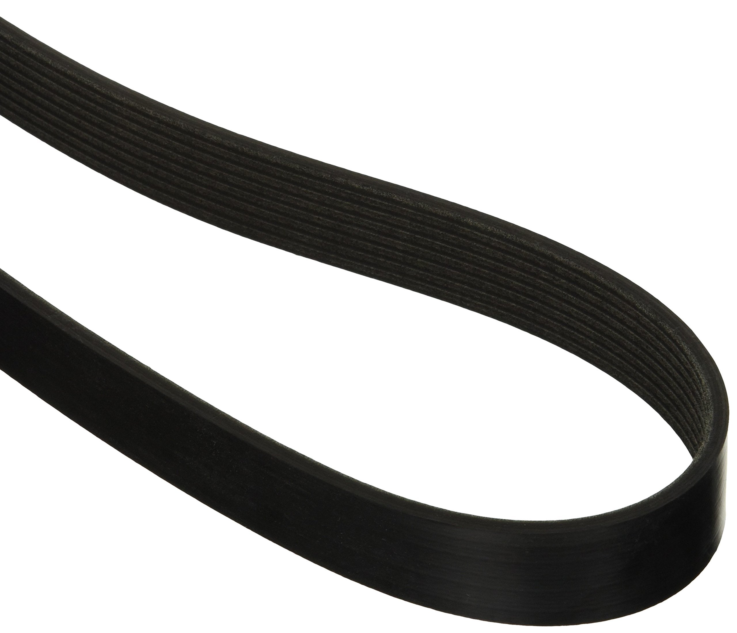 Motorcraft Jk81267A V-Ribbed Belt