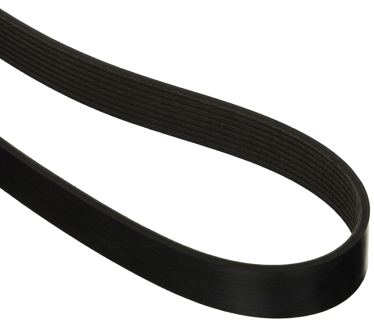 Motorcraft Jk81267A V-Ribbed Belt