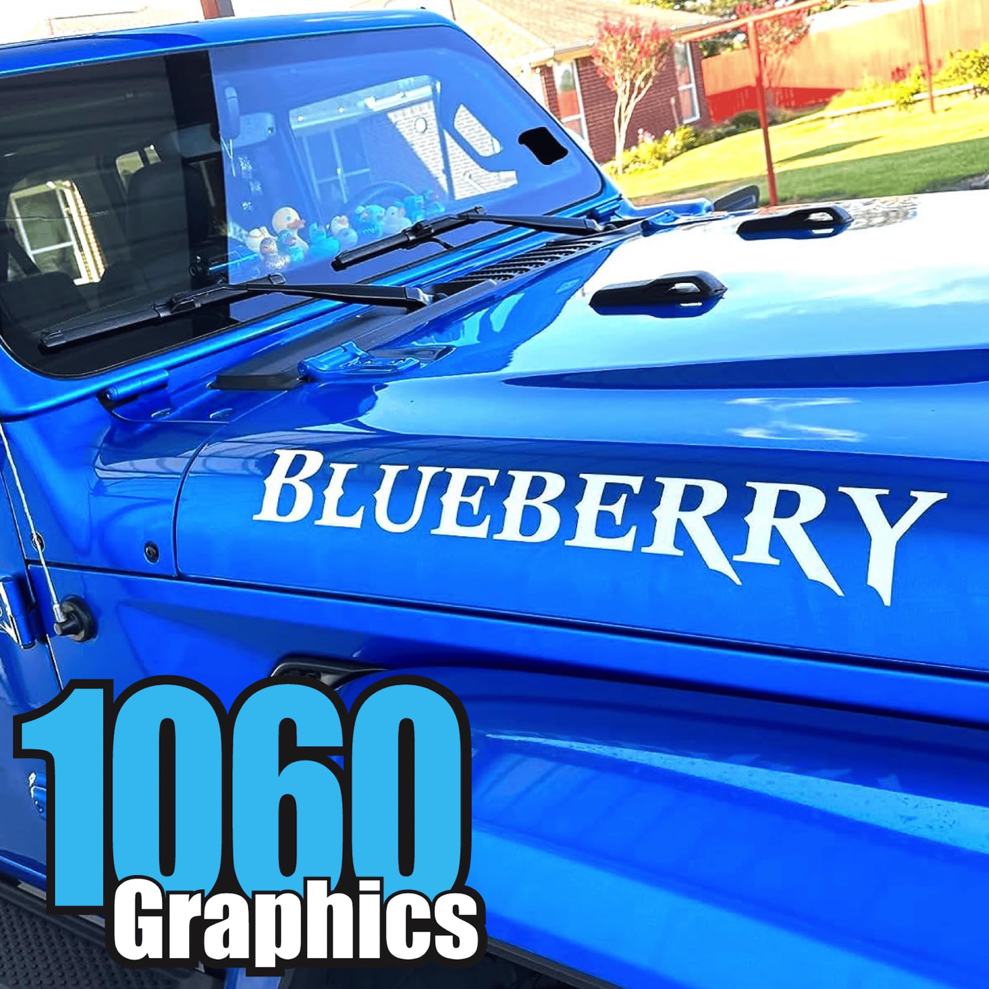 Custom Vinyl Lettering (1 Inch High Text) For Cars, Trucks, Boats, Doors, Windows, Signs, Windshields, Letters, Numbers, Decal S