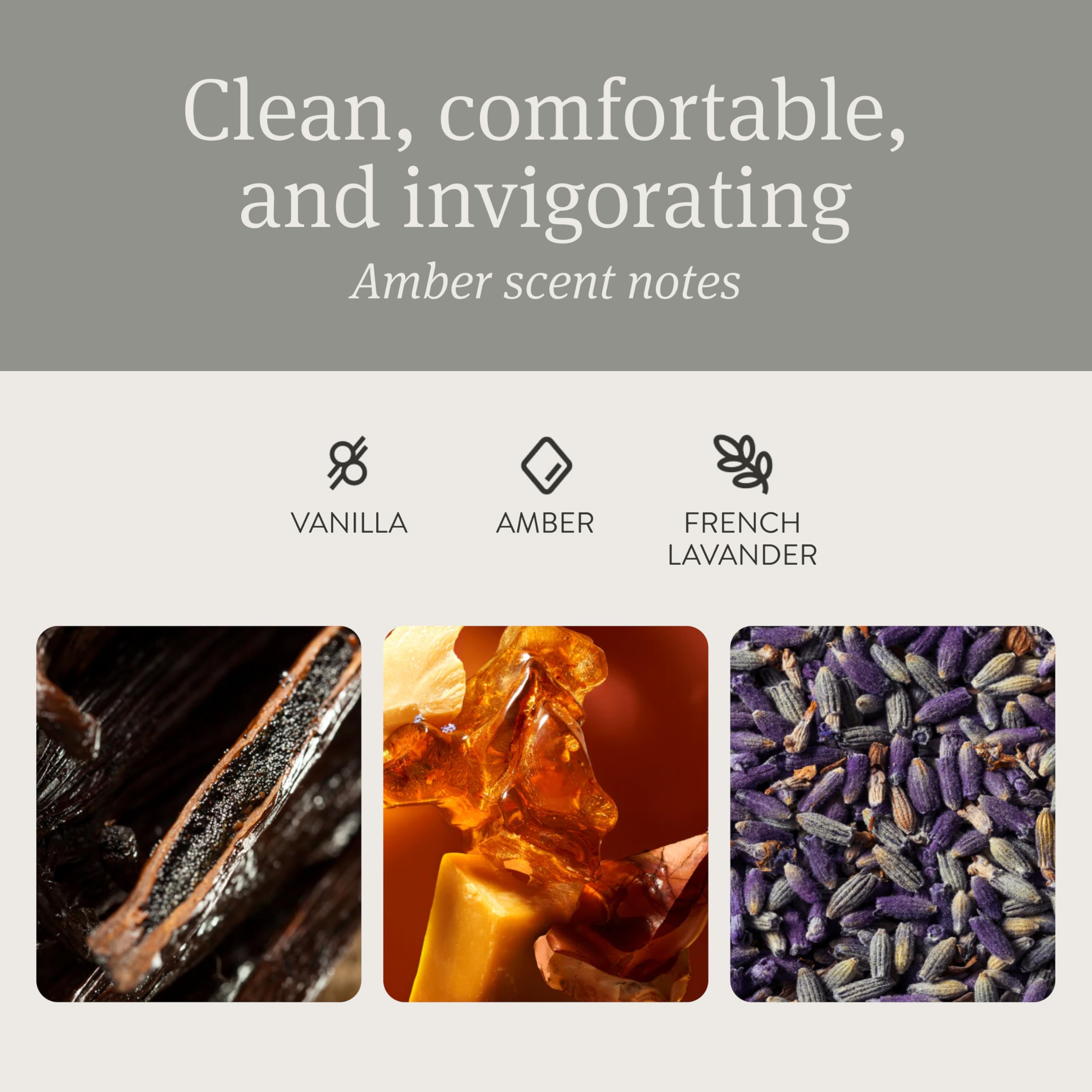 Drift Car Air Freshener - Stone Air Freshener - Car Odor Eliminator - Grove Scent Starter Kit