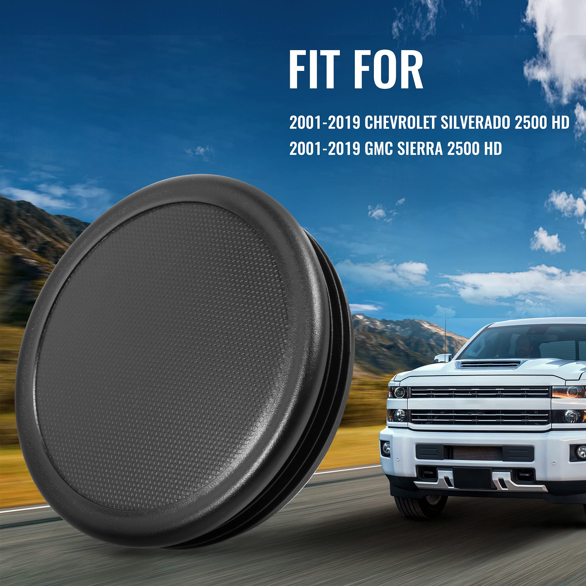 RDBS 4PCS Plug Kit for GMC Sierra & Chevy Silverado 2500HD, Plastic Caps for Rear Wheel Well & Cab Frame Holes, Model BBTT219