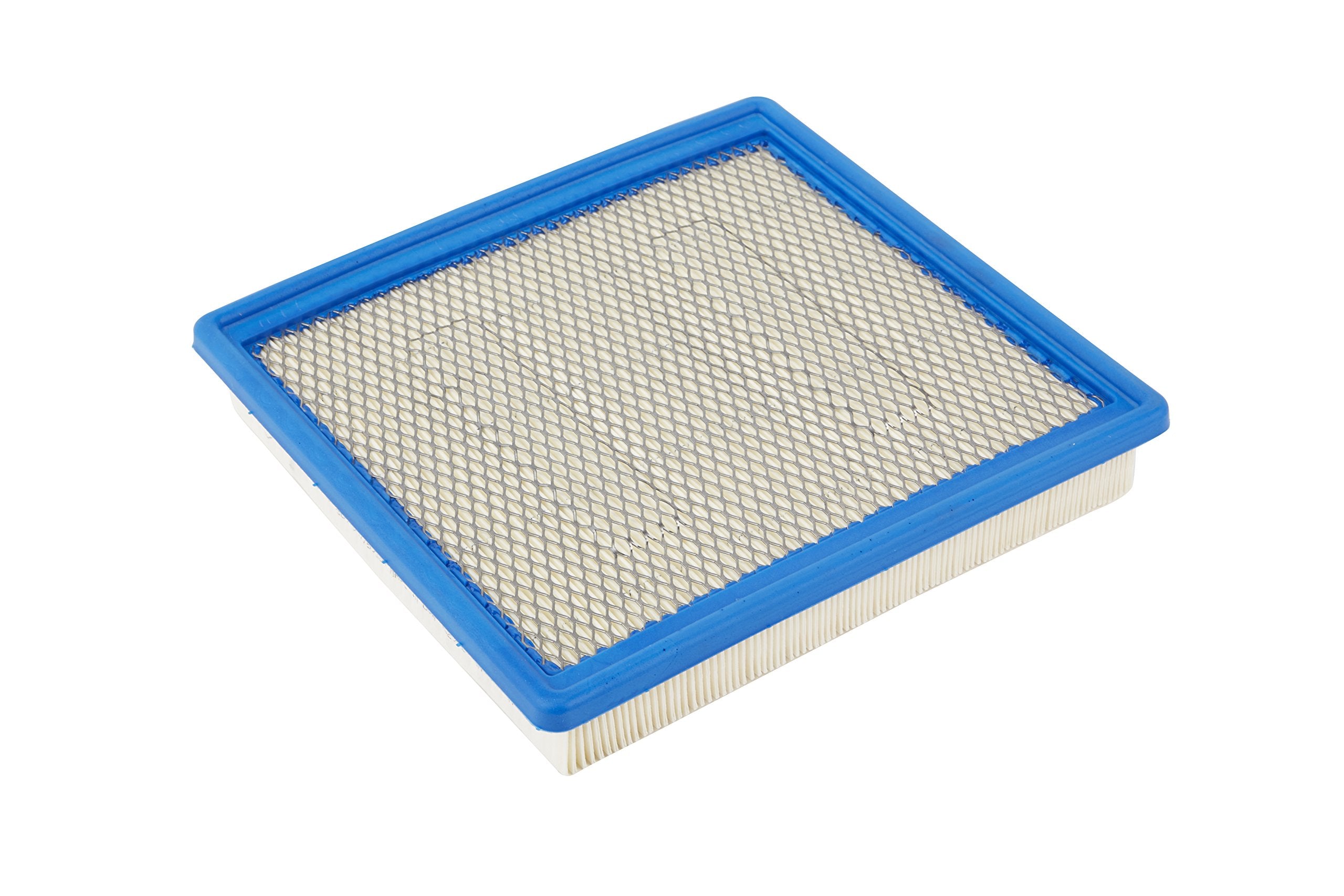 Acdelco Gm Original Equipment A3195C Air Filter