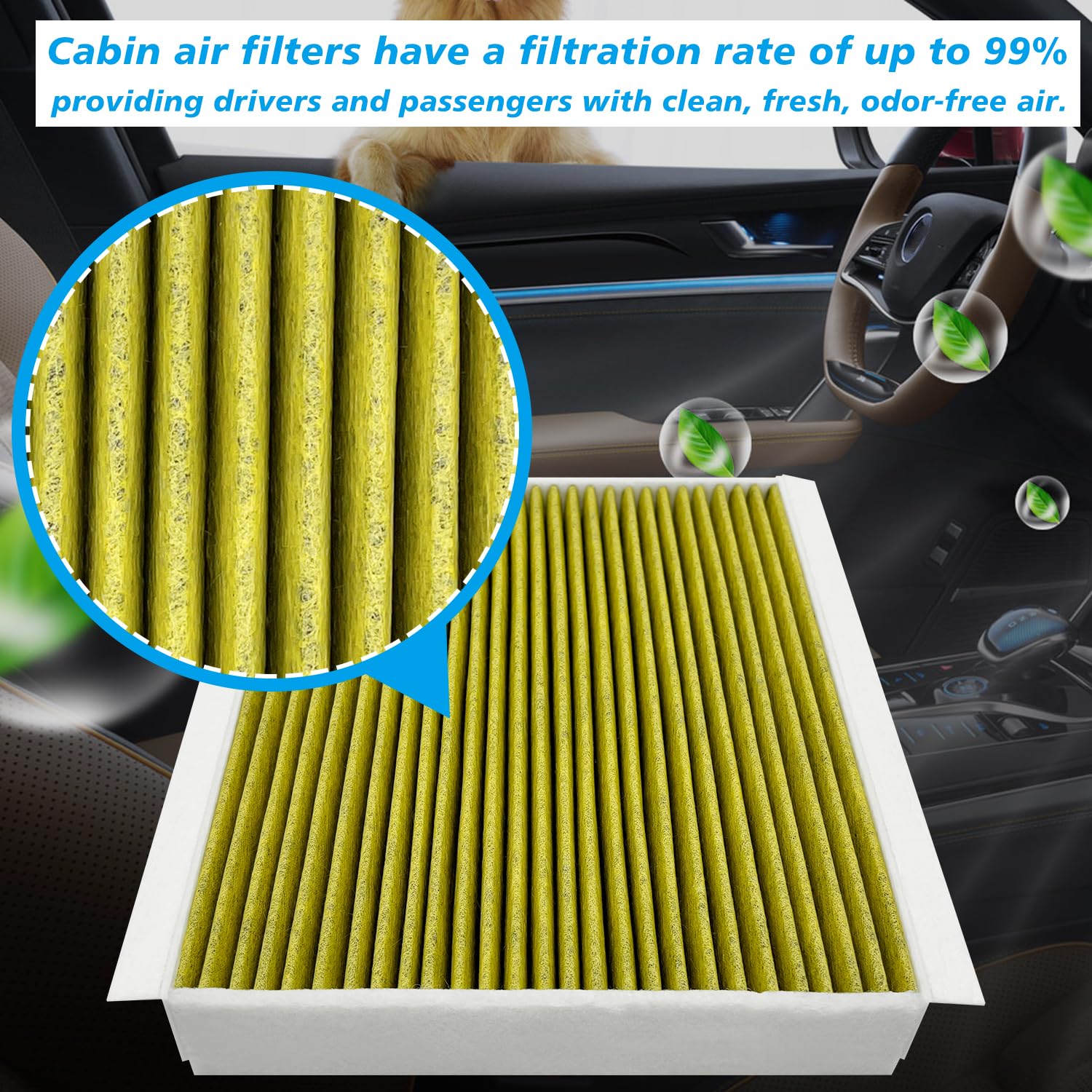 Capume for Cabin Air Filter JMFL3 (CF12150) Fits for F-150 2015-24, F-250 / F-350 / F-450 / F-550Super Duty 2017-23, Expedition